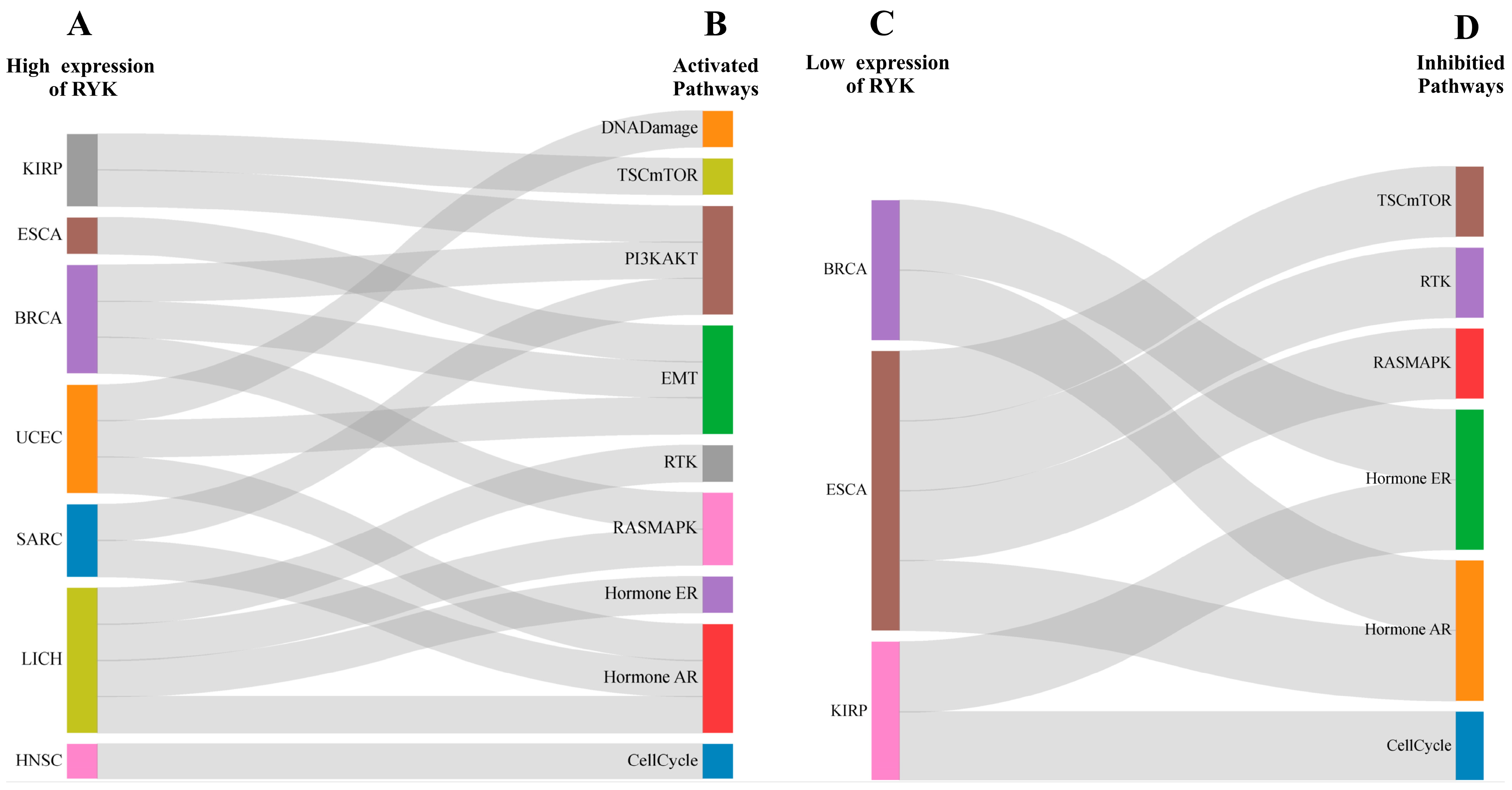 Jmp 05 00005 g006 Jmp 05 00005 g006
