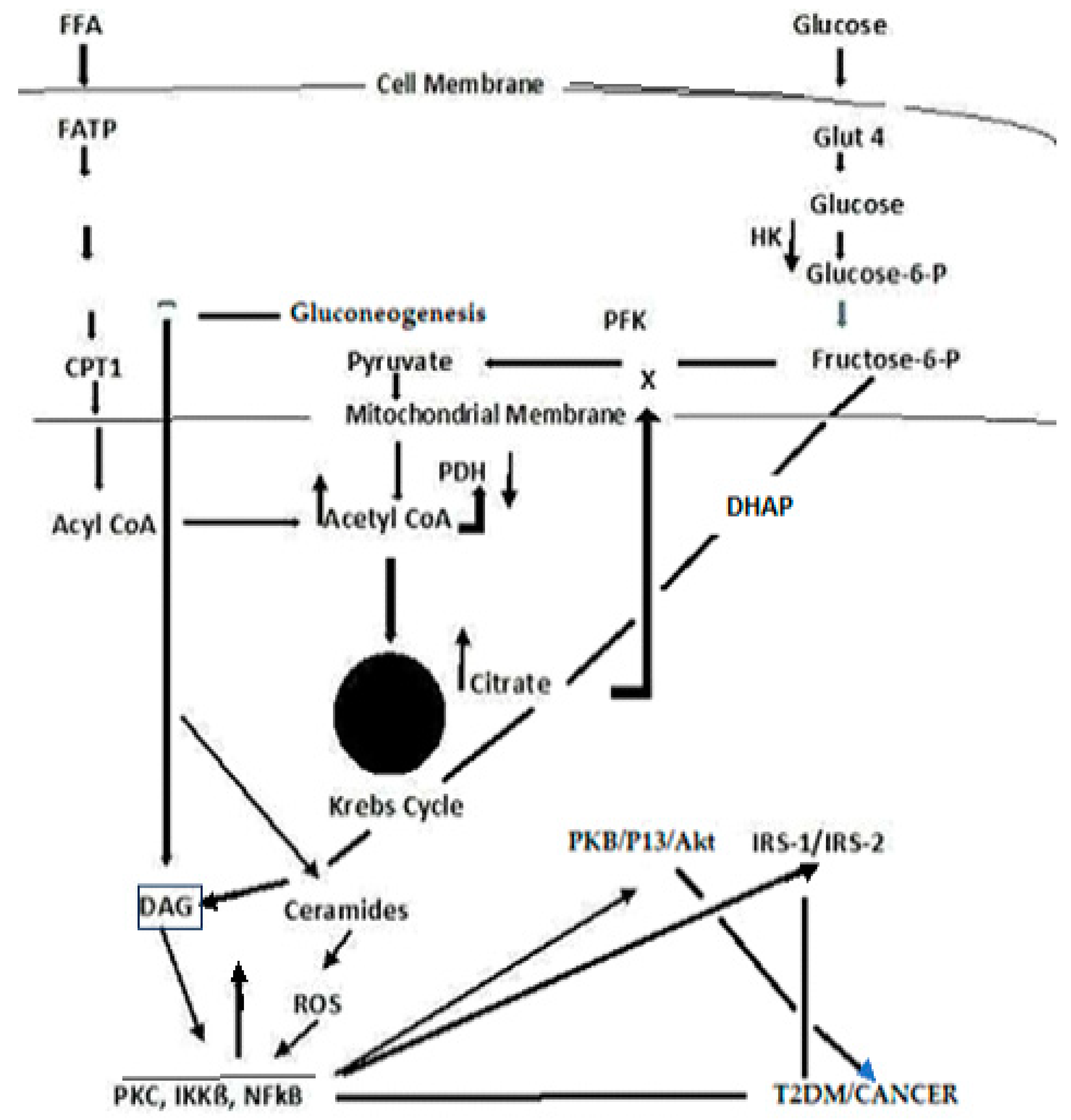 Jmp 05 00007 g004 Jmp 05 00007 g004