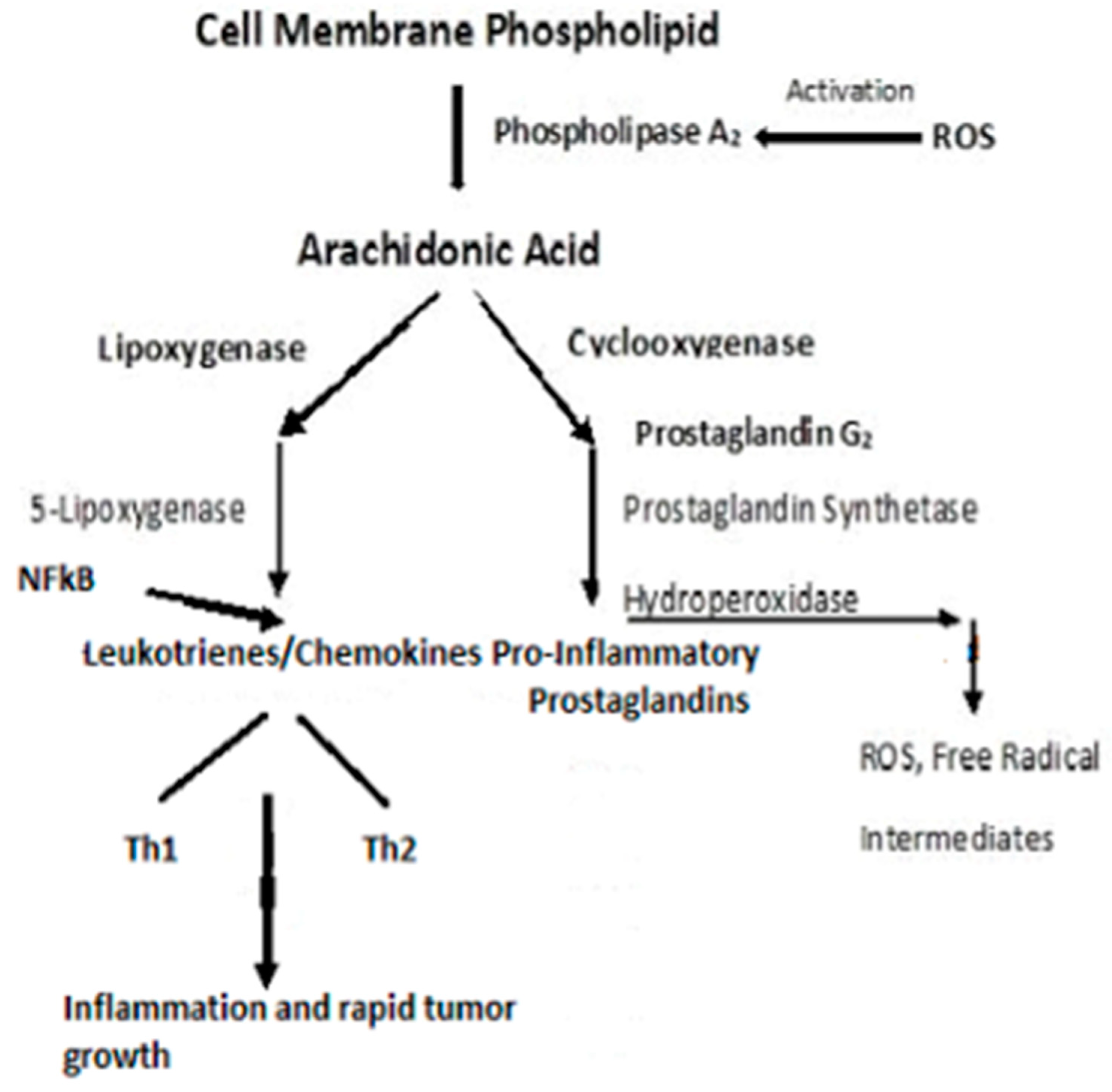 Jmp 05 00007 g005 Jmp 05 00007 g005