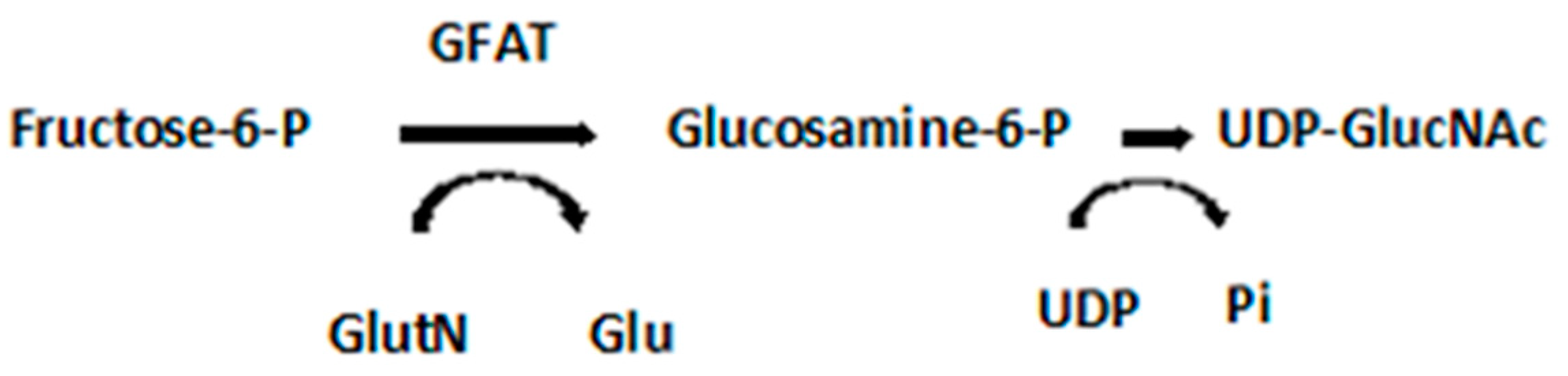 Jmp 05 00007 sch002 Jmp 05 00007 sch002