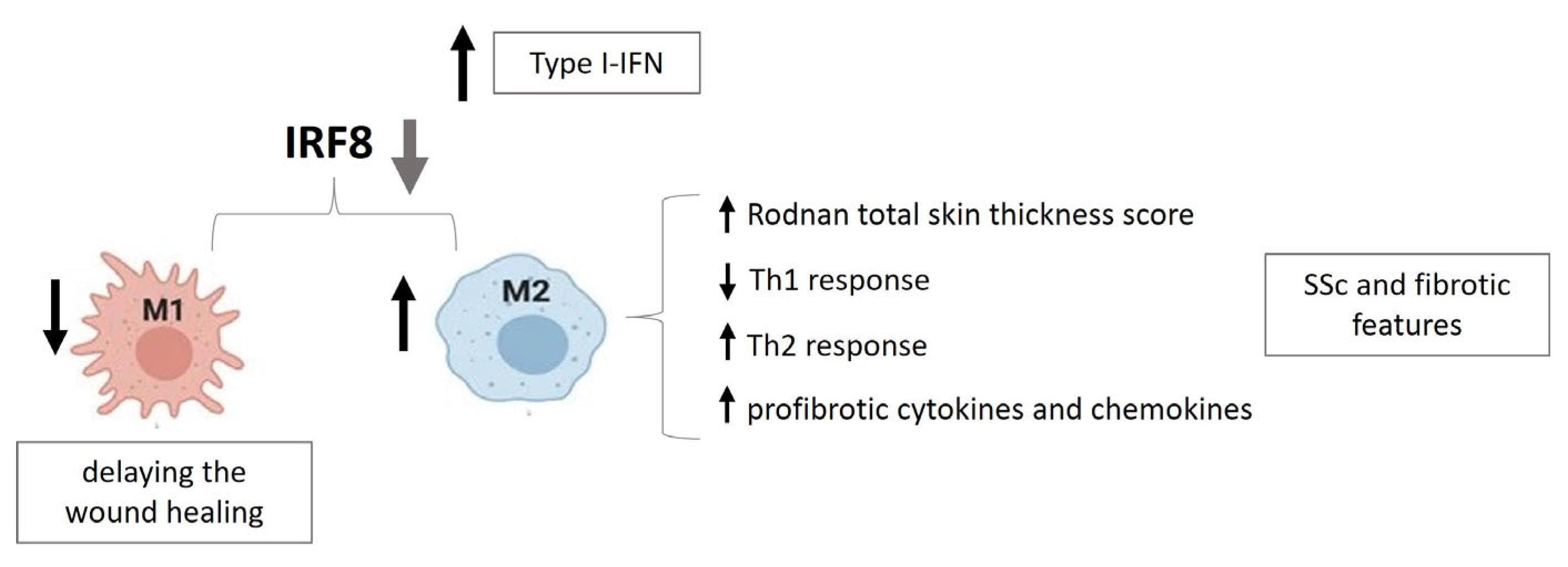 Jmp 05 00008 g002 Jmp 05 00008 g002