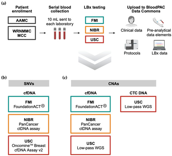 Liquid Biopsy Profiling with Multiple Tests in Patients with 
