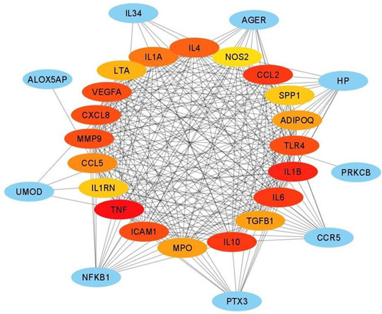 In Silico Characterization of Inflammatory and Anti