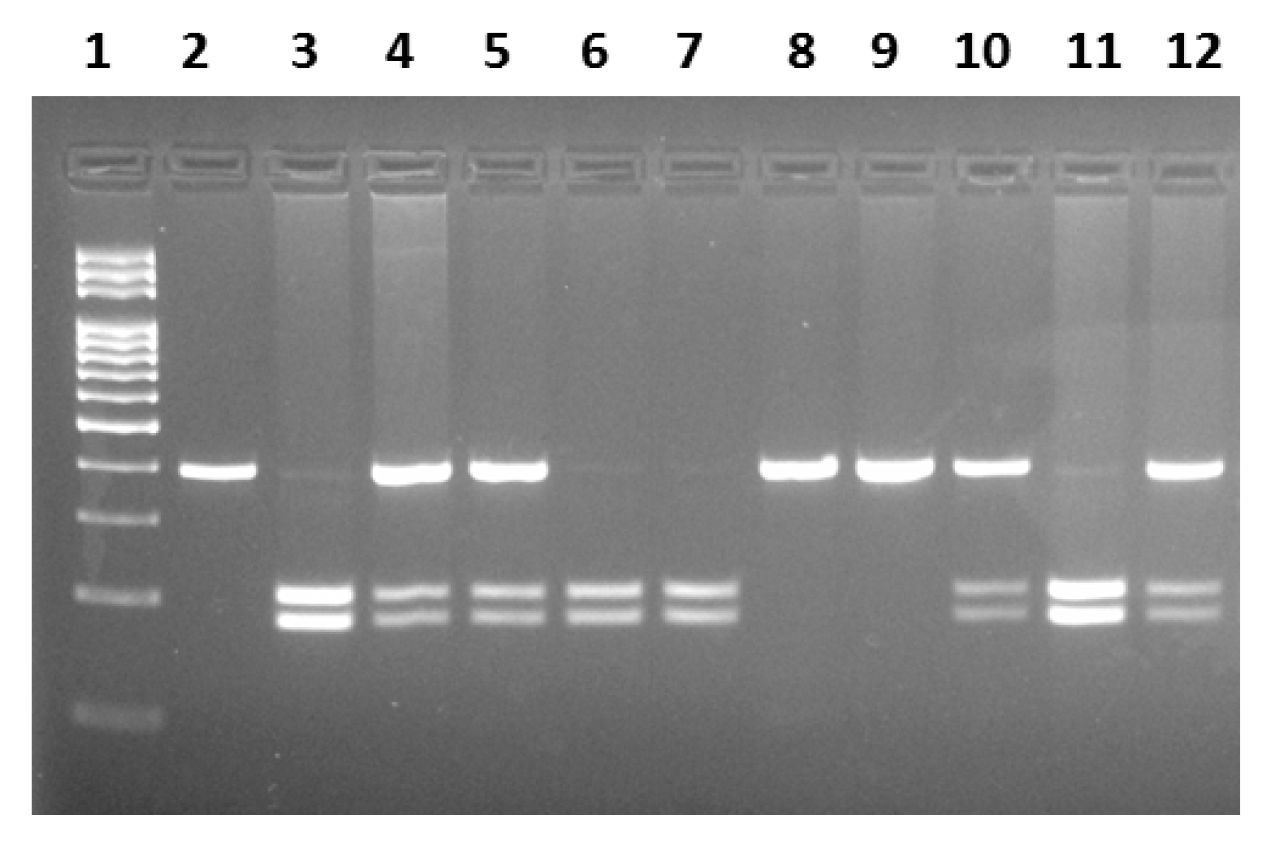 Jmp 06 00015 g001 Jmp 06 00015 g001