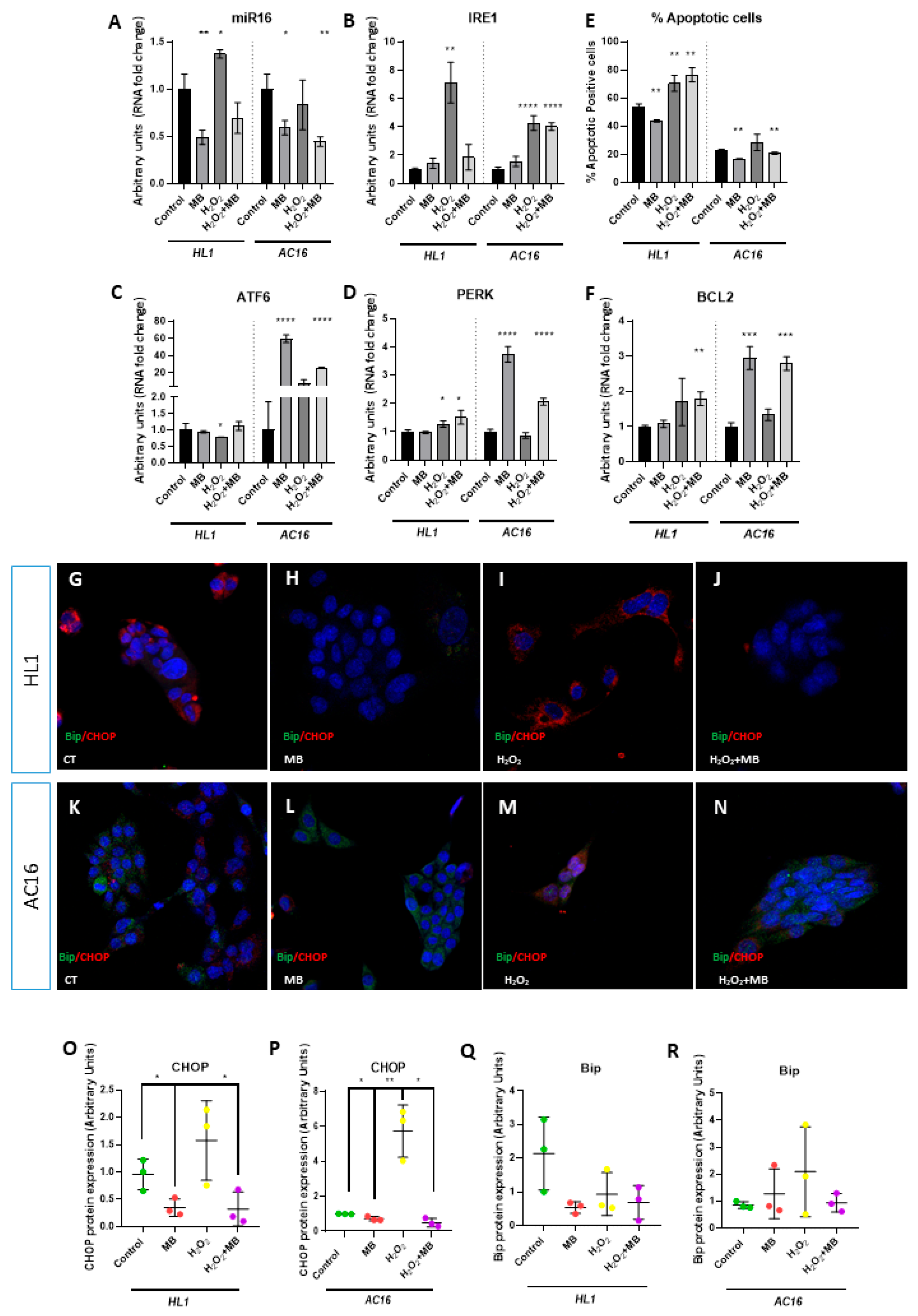 Jmp 06 00016 g002 Jmp 06 00016 g002