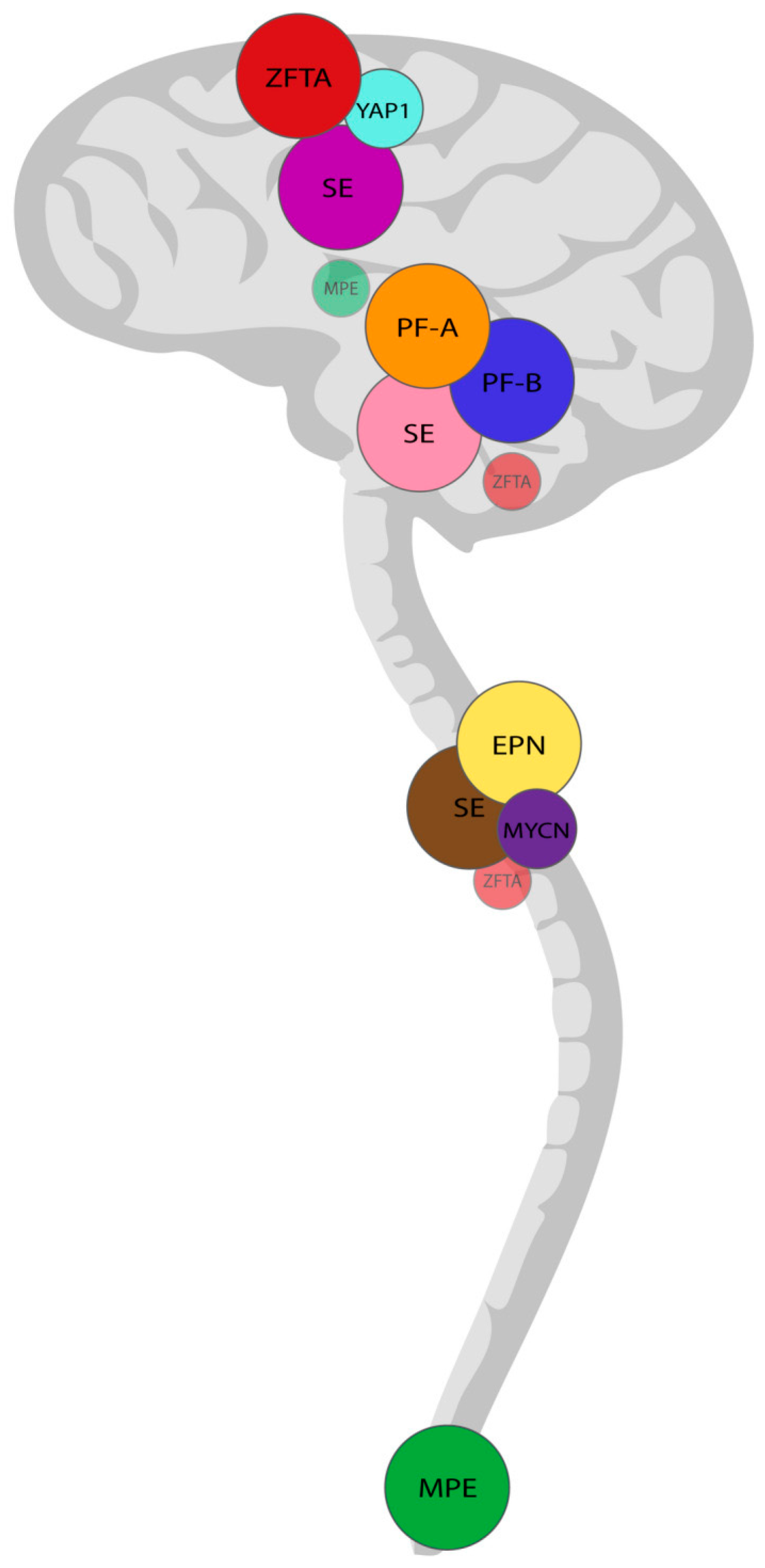 Jmp 06 00023 g001 Jmp 06 00023 g001