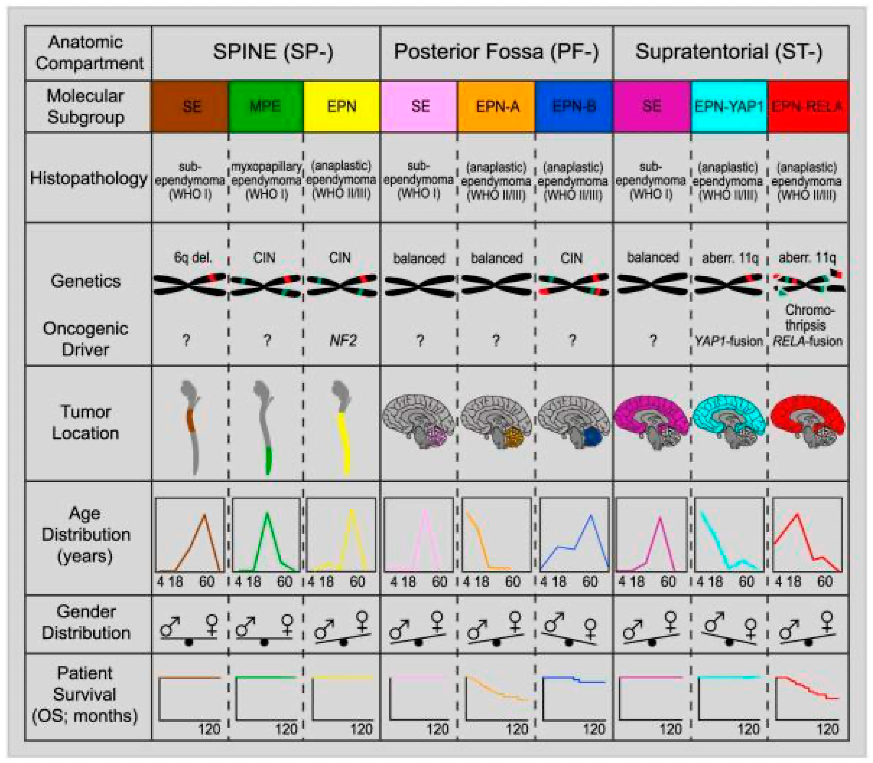 Jmp 06 00023 g002 Jmp 06 00023 g002