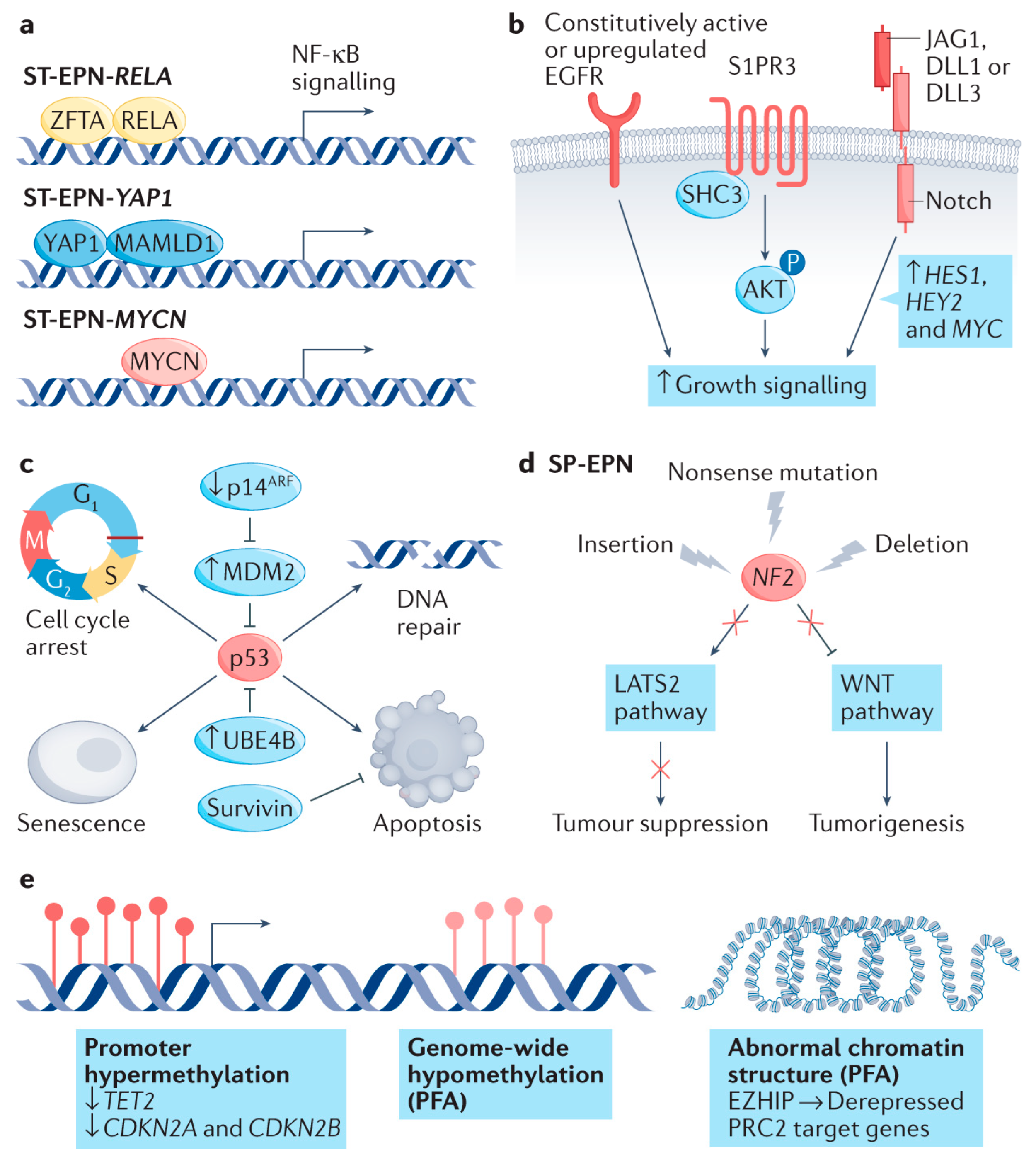 Jmp 06 00023 g003 Jmp 06 00023 g003