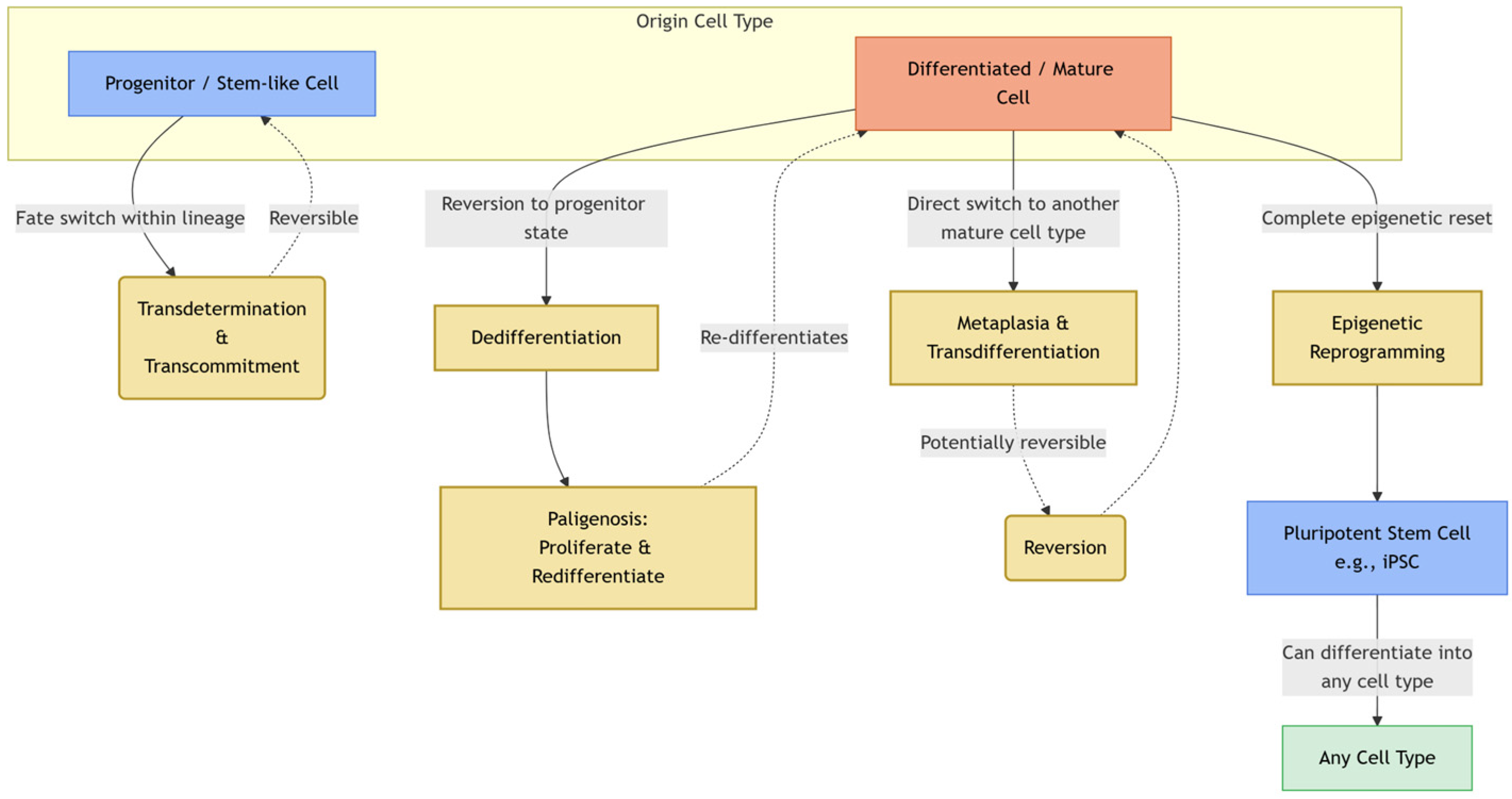Jmp 06 00024 g001 Jmp 06 00024 g001