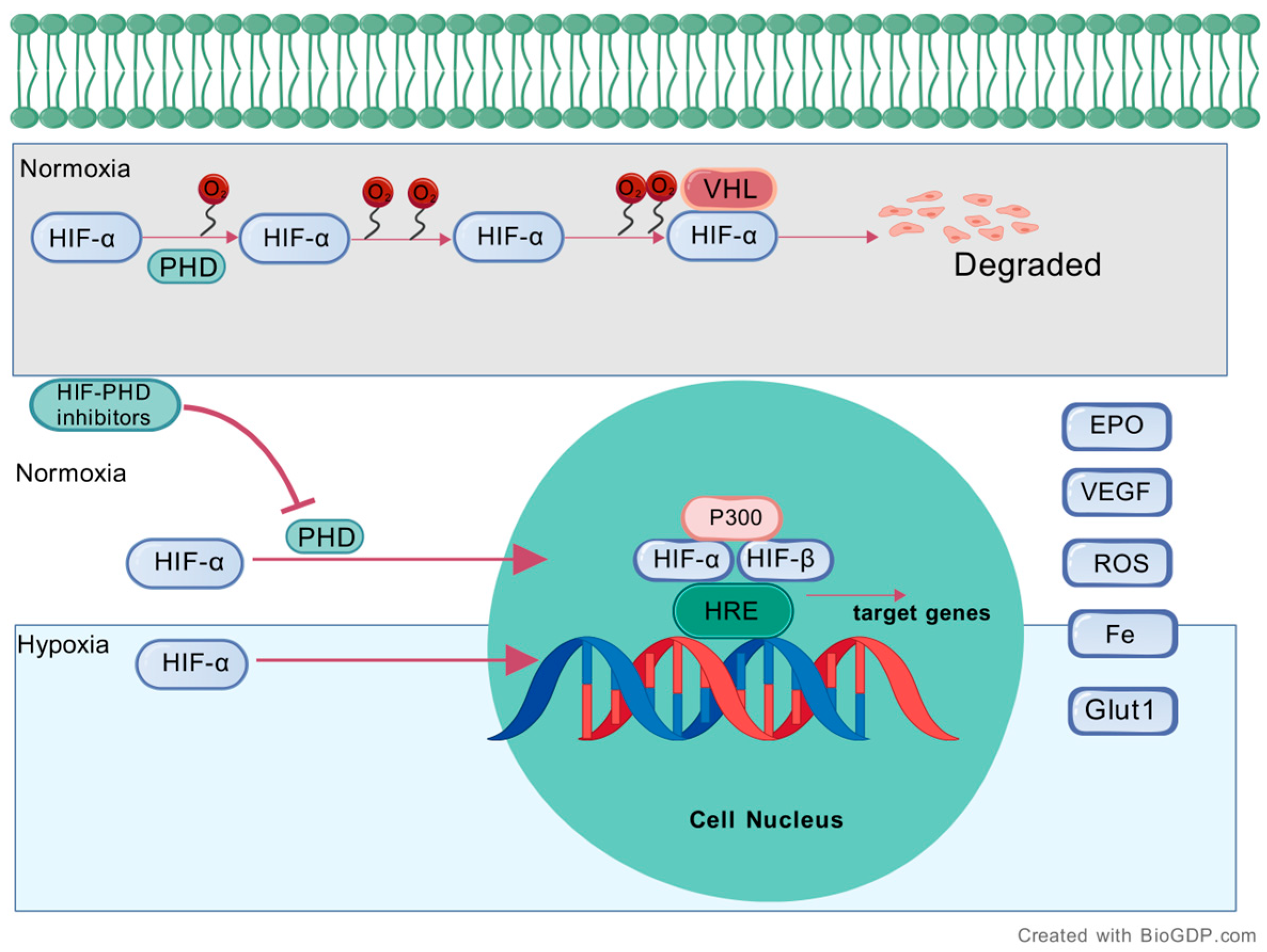 Jmp 06 00025 g001 Jmp 06 00025 g001