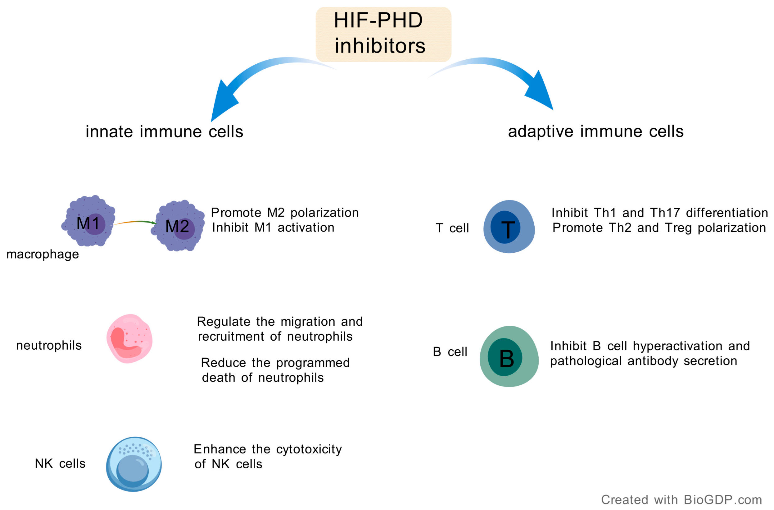 Jmp 06 00025 g002 Jmp 06 00025 g002
