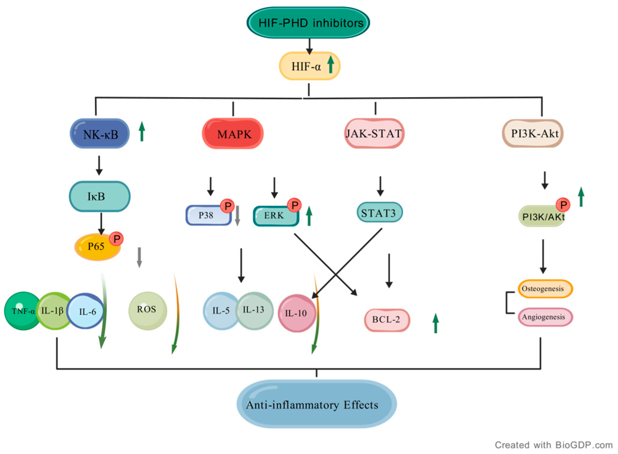Jmp 06 00025 g003 Jmp 06 00025 g003