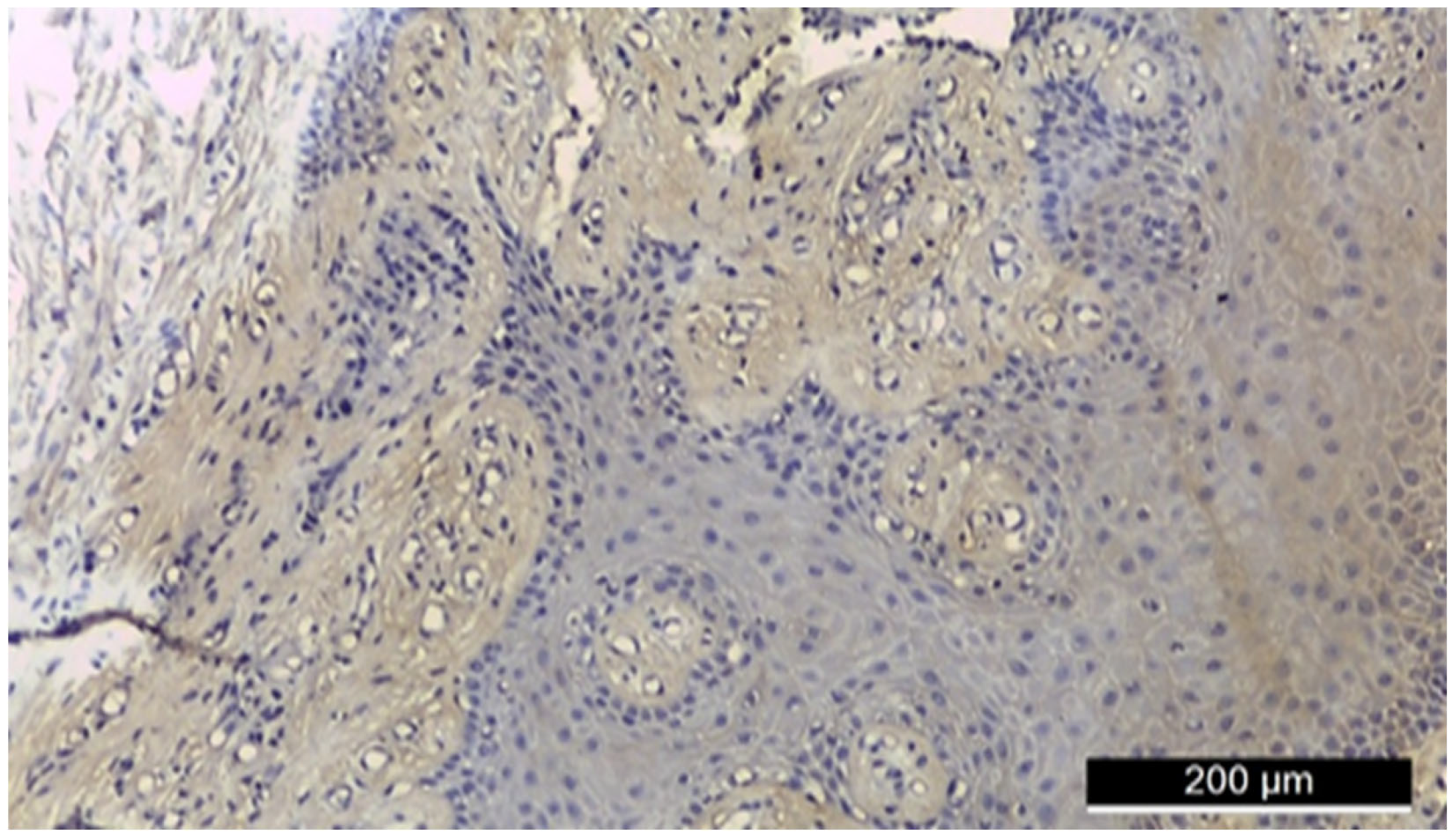 Jmp 06 00026 g001 Jmp 06 00026 g001