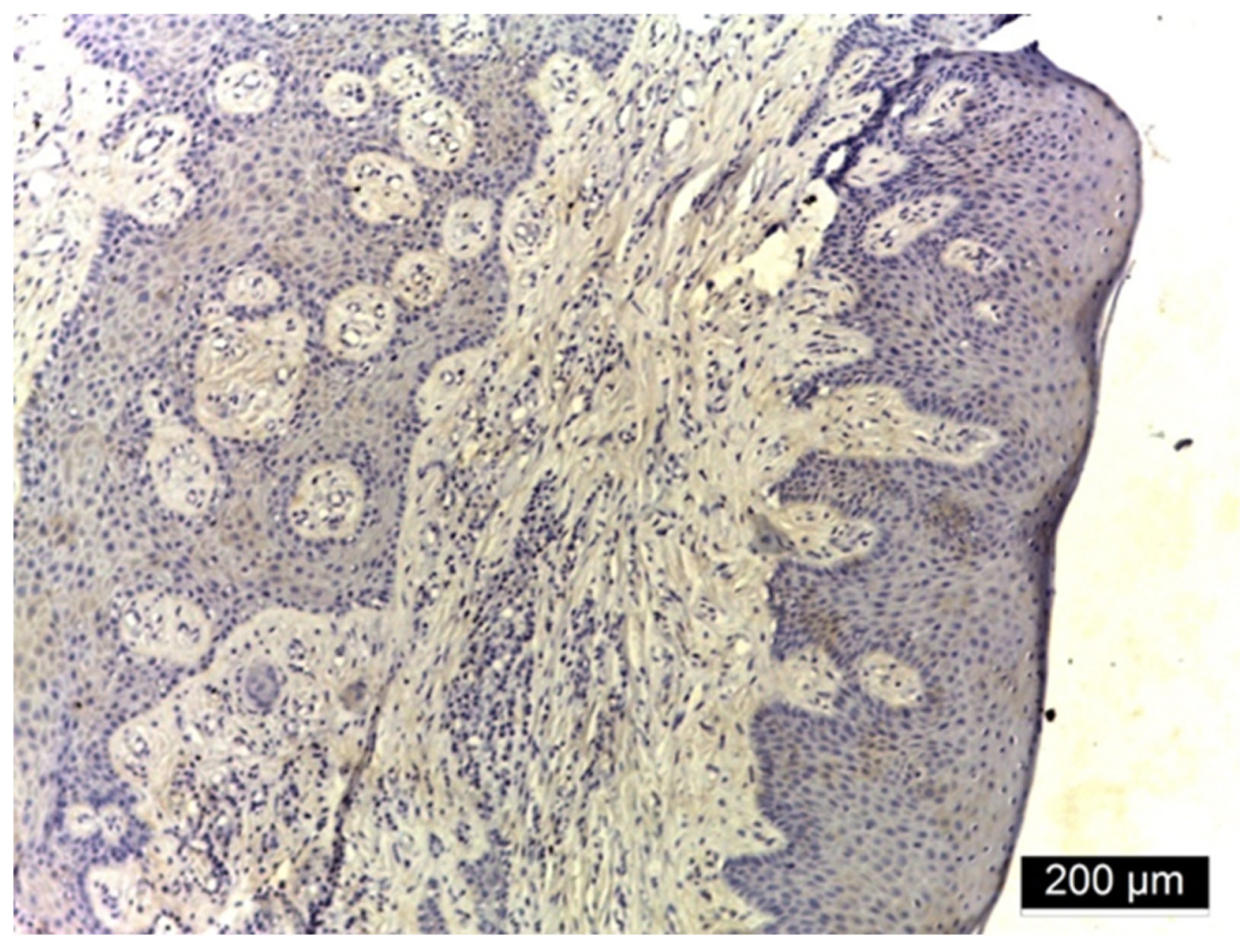 Jmp 06 00026 g002 Jmp 06 00026 g002