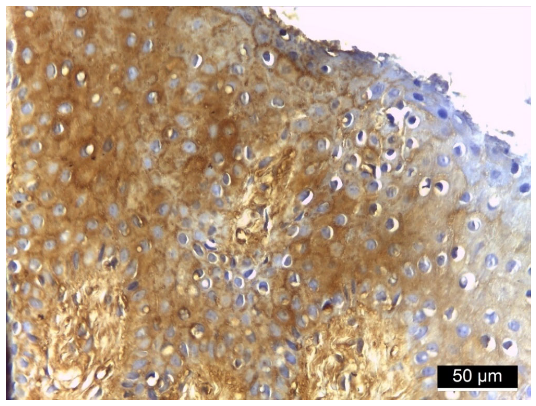 Jmp 06 00026 g004 Jmp 06 00026 g004