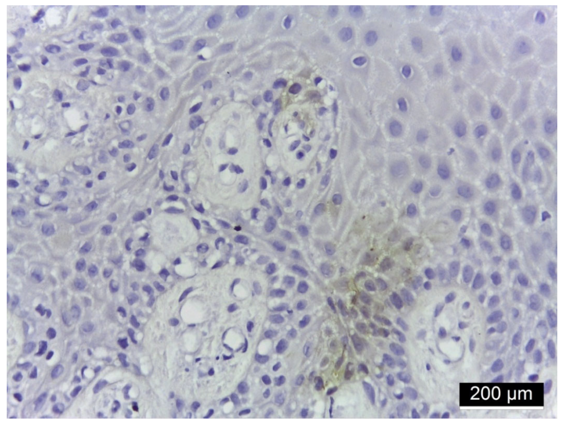 Jmp 06 00026 g005 Jmp 06 00026 g005