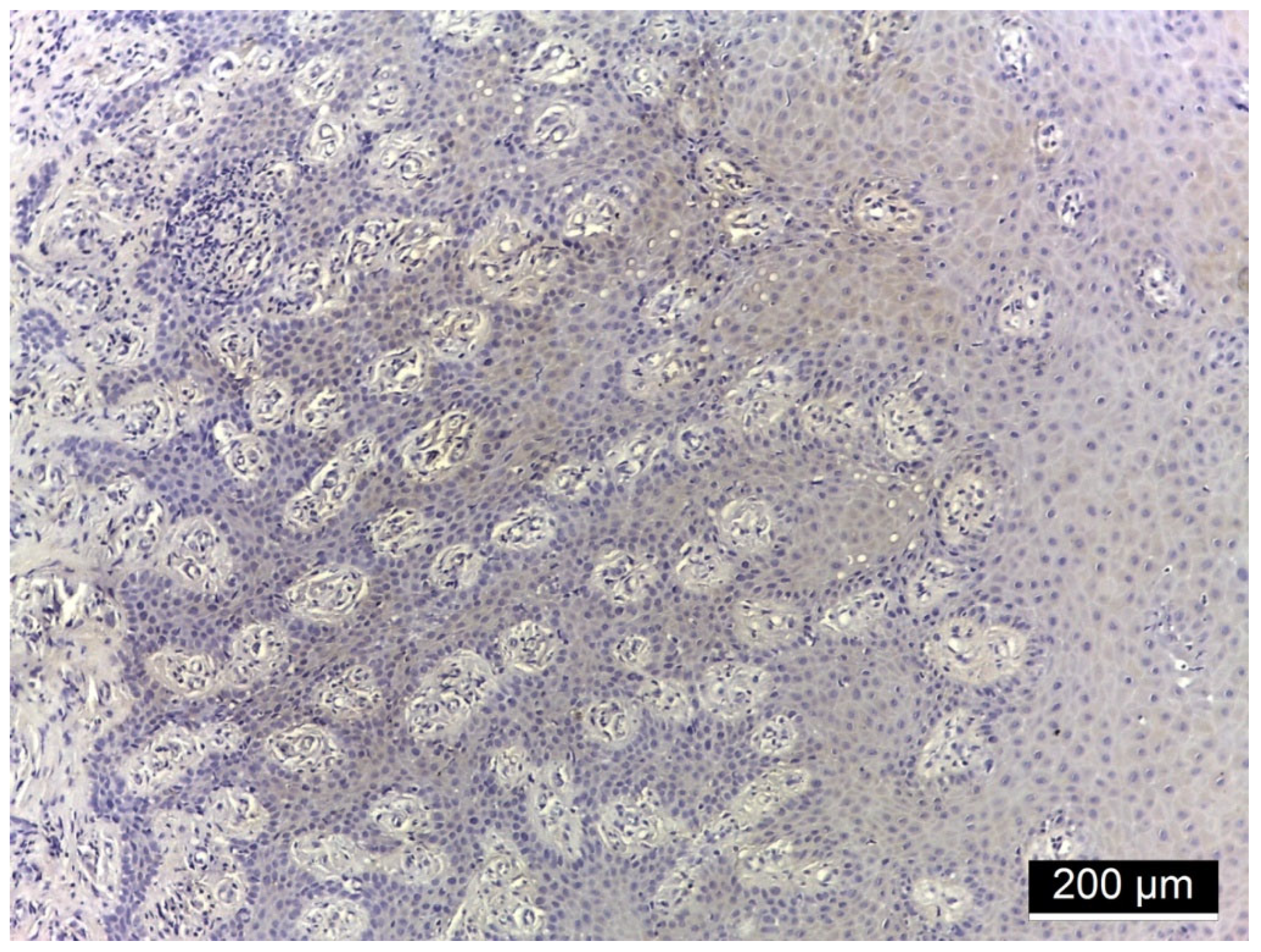 Jmp 06 00026 g006 Jmp 06 00026 g006