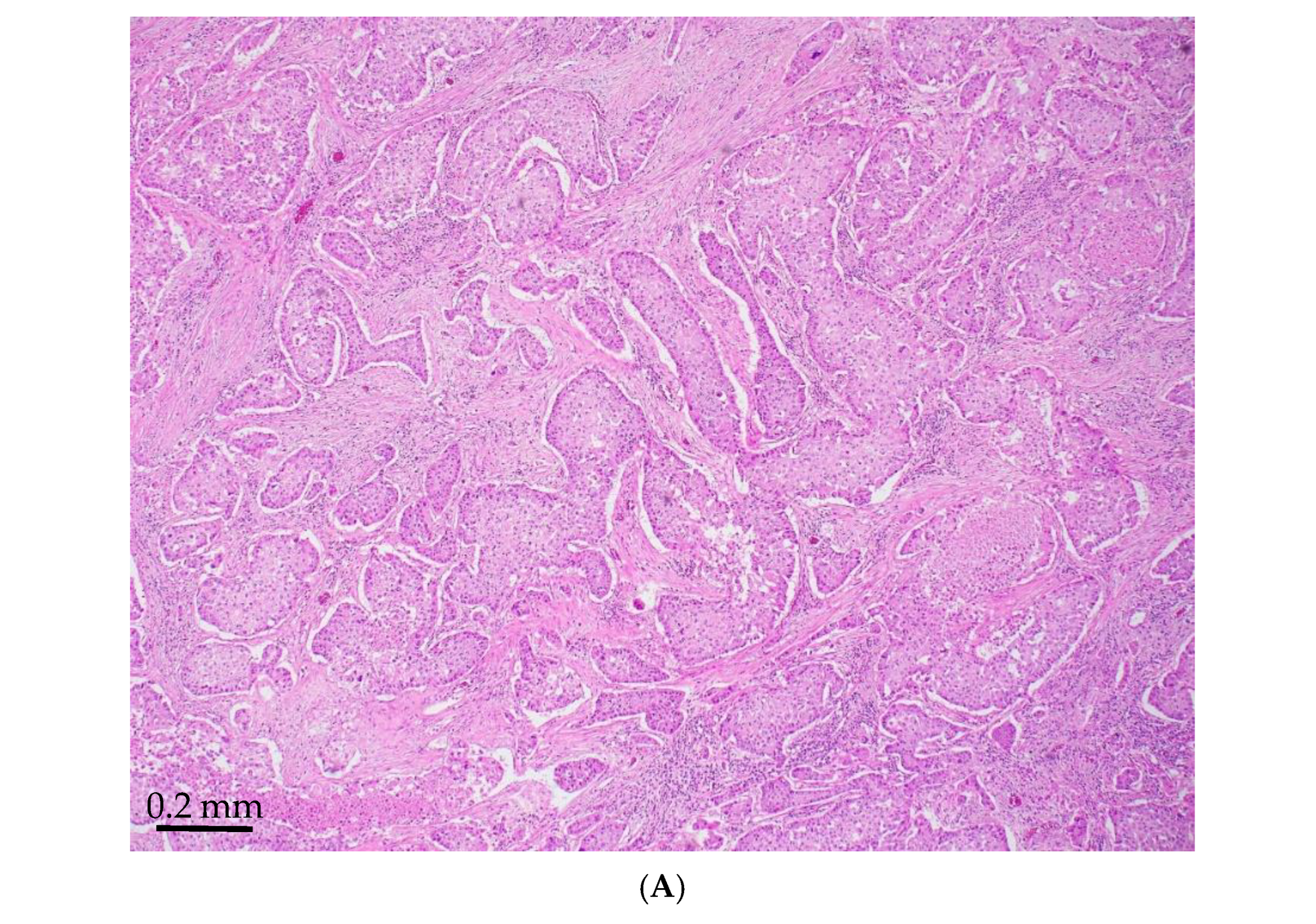 Jmp 06 00028 g001a Jmp 06 00028 g001a