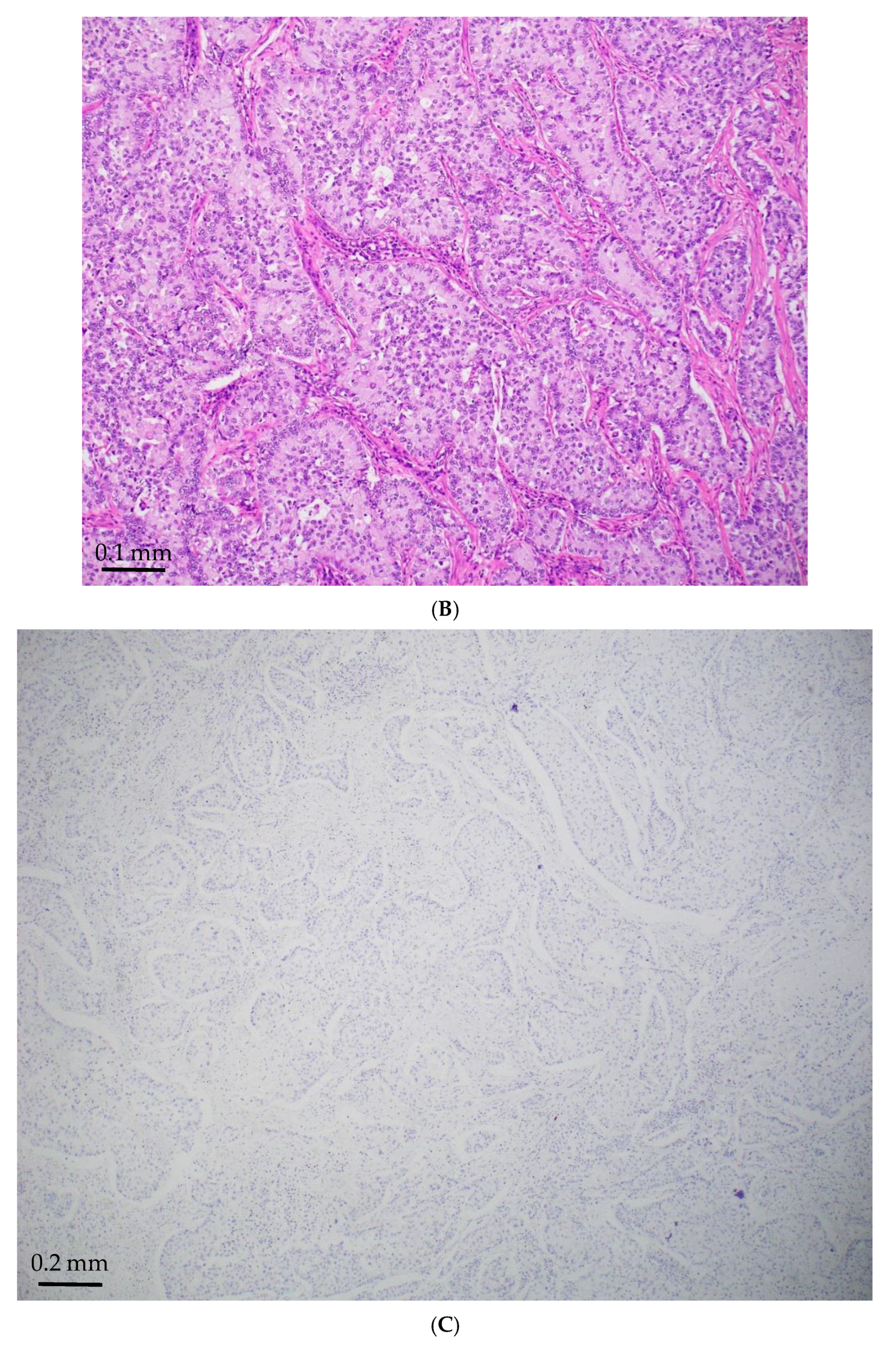 Jmp 06 00028 g001b Jmp 06 00028 g001b