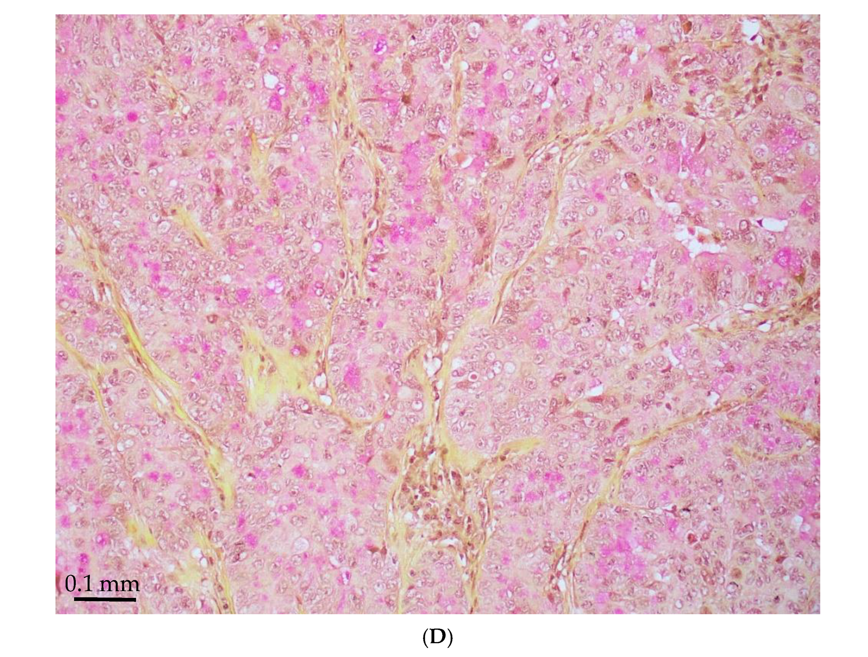 Jmp 06 00028 g001c Jmp 06 00028 g001c