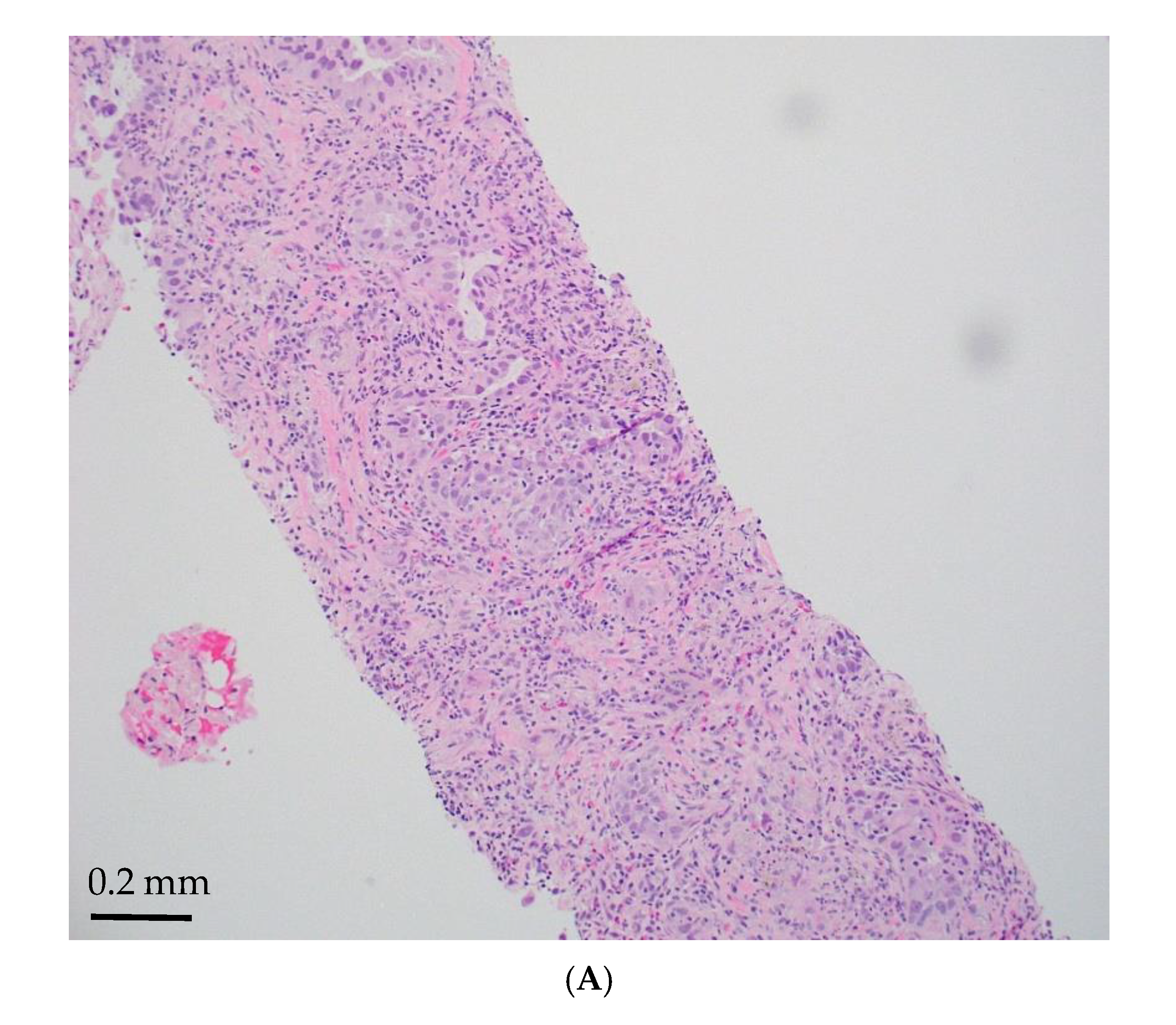 Jmp 06 00028 g002a Jmp 06 00028 g002a