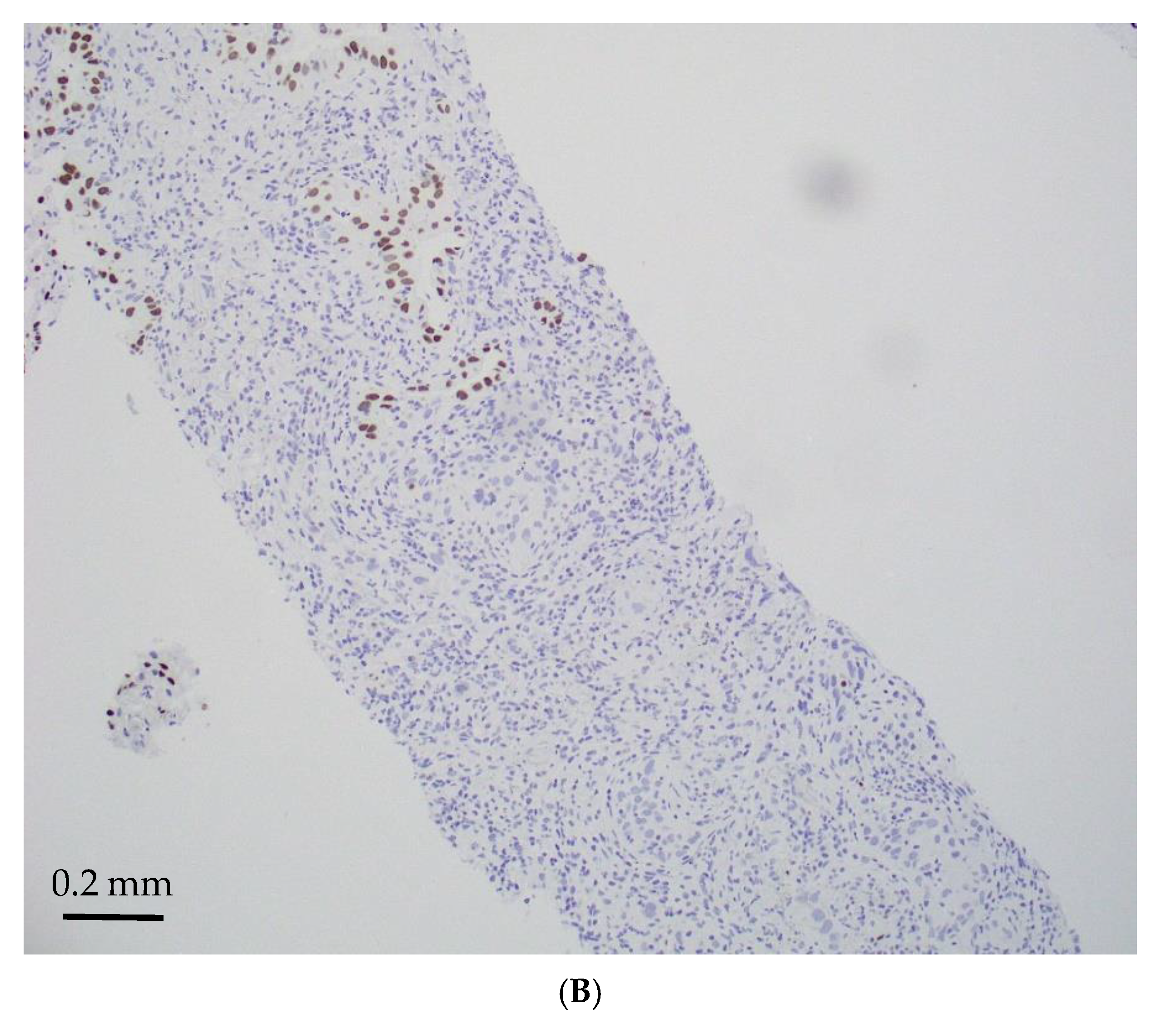 Jmp 06 00028 g002b Jmp 06 00028 g002b