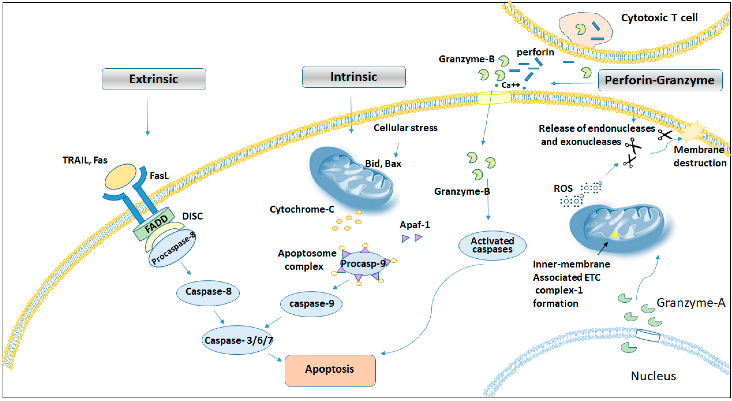 Jmp 06 00032 g001 Jmp 06 00032 g001