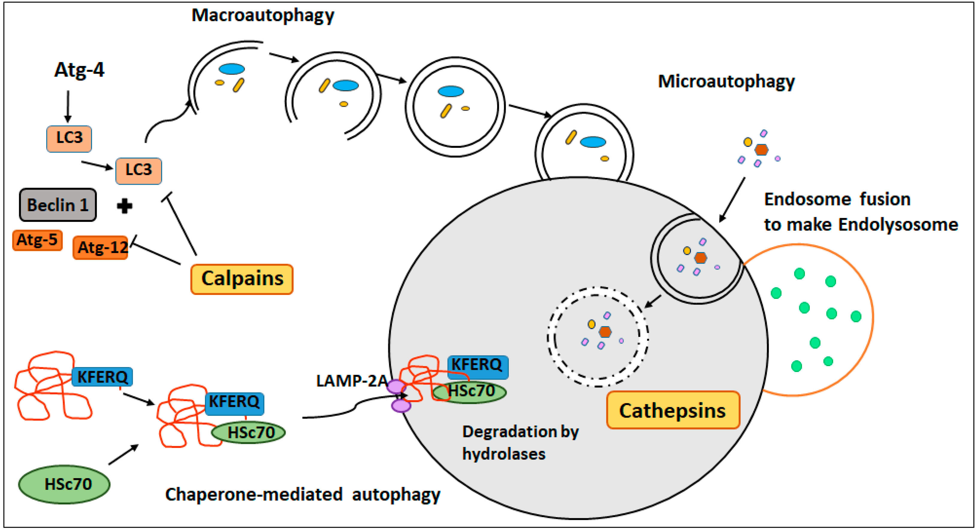 Jmp 06 00032 g002 Jmp 06 00032 g002