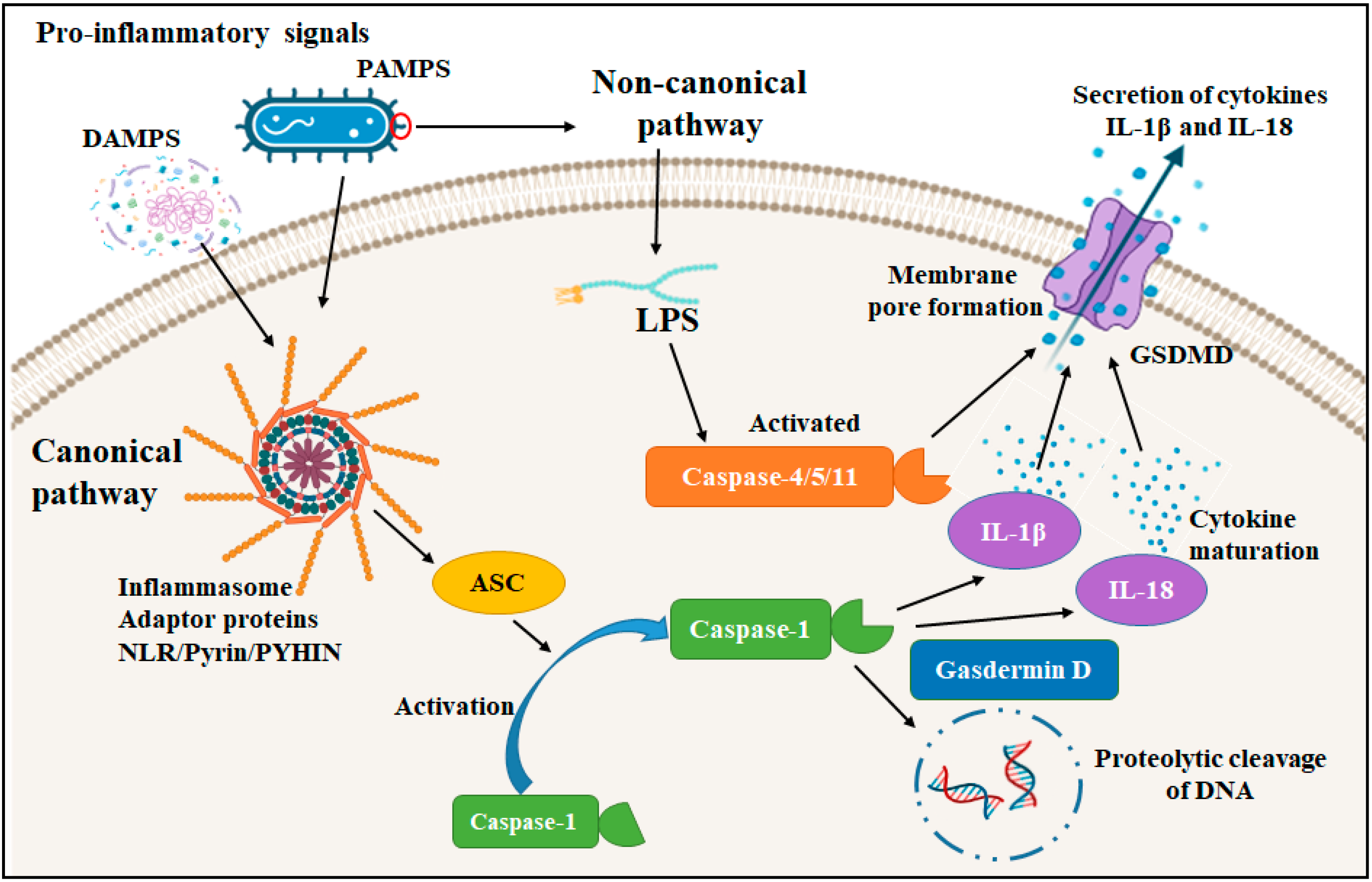 Jmp 06 00032 g003 Jmp 06 00032 g003