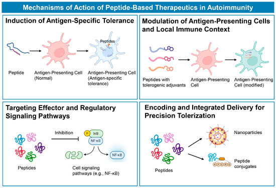 bpc 157 and autoimmune disease Peptide-Based Therapeutics in Autoimmune Diseases: Restoring Immune Balance  Through Precision