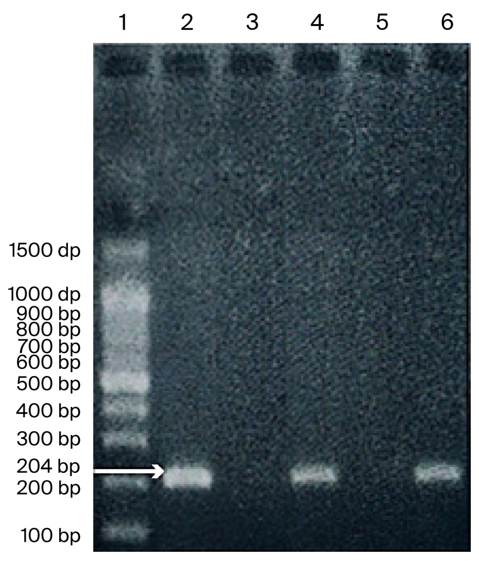 Jmp 07 00014 g001