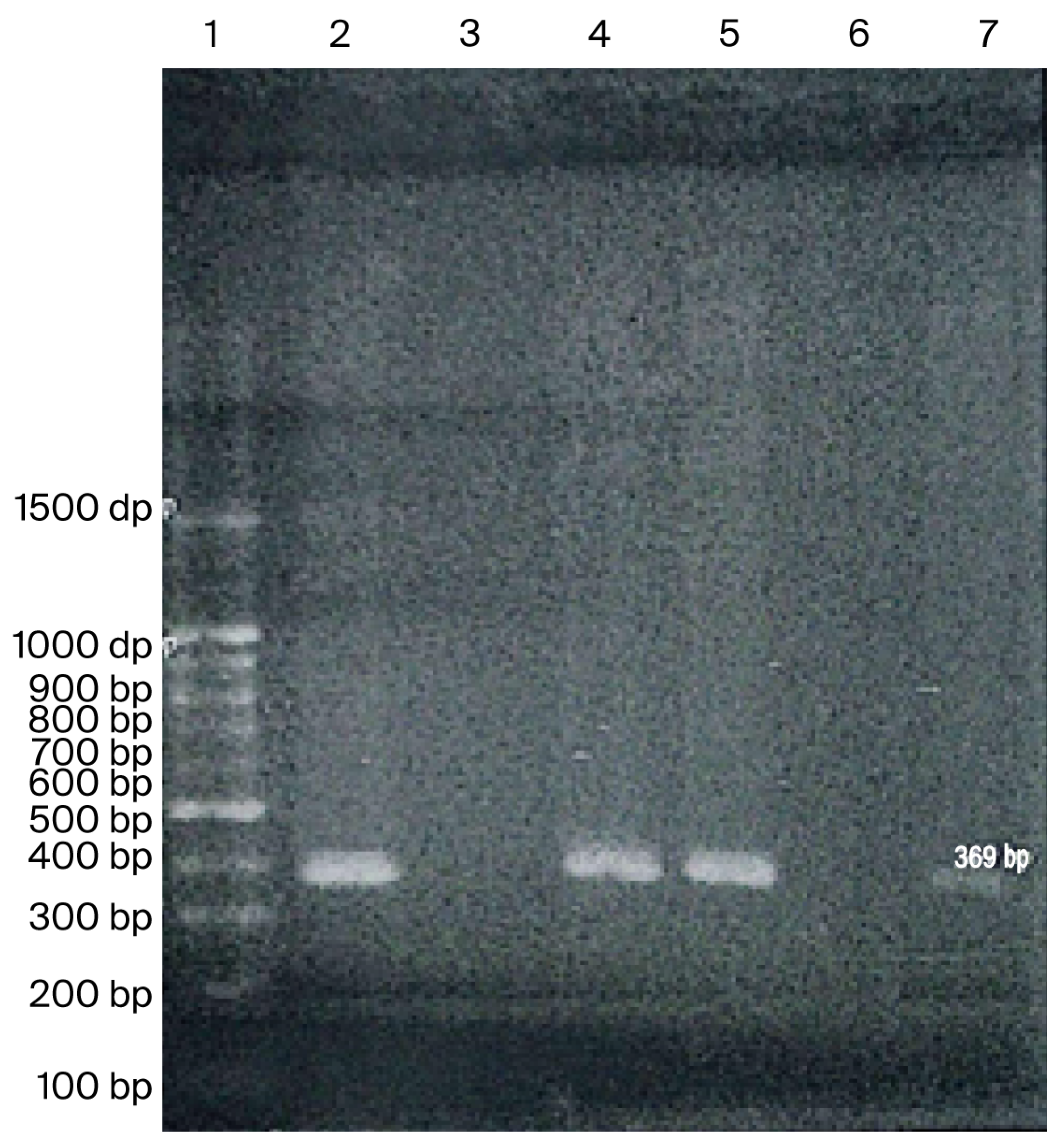Jmp 07 00014 g003