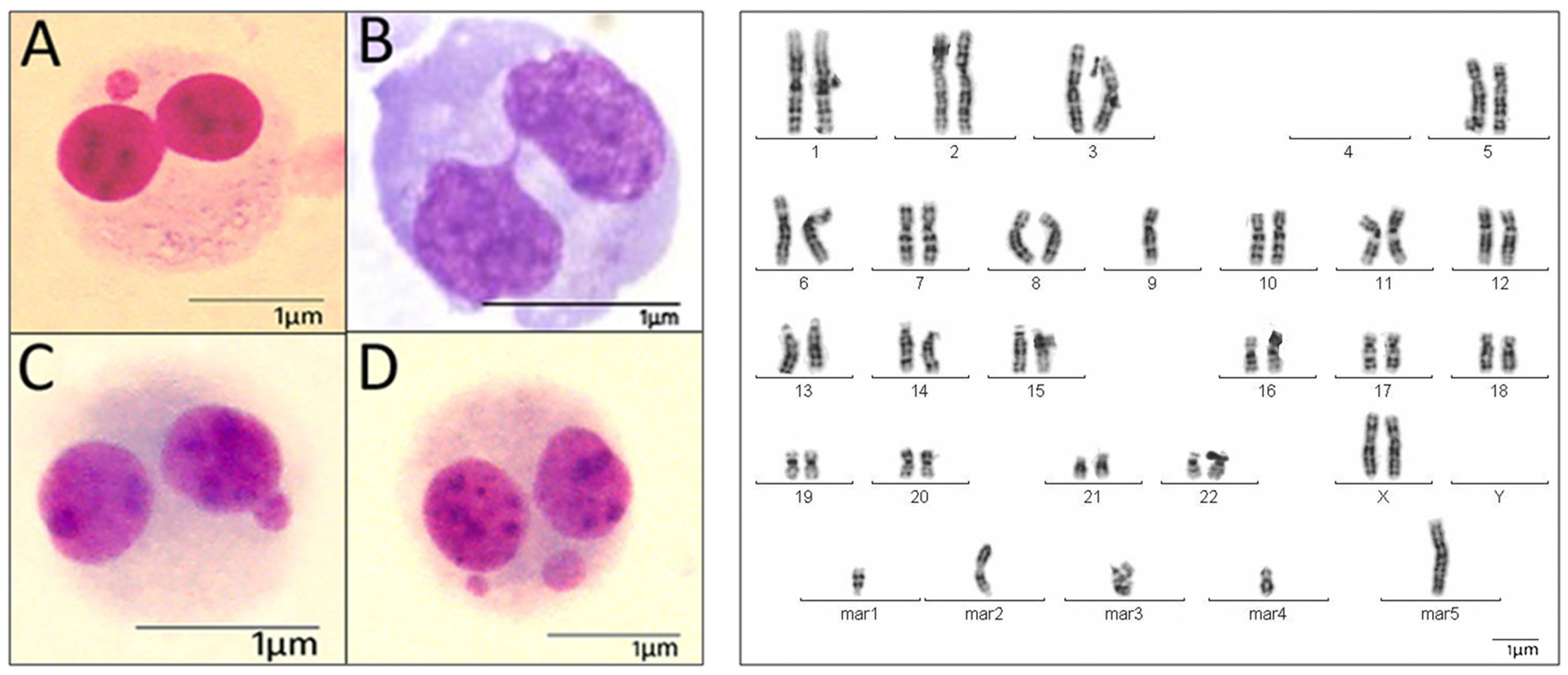 Jmse Free Full Text Human Genotoxic Study Carried Out - 