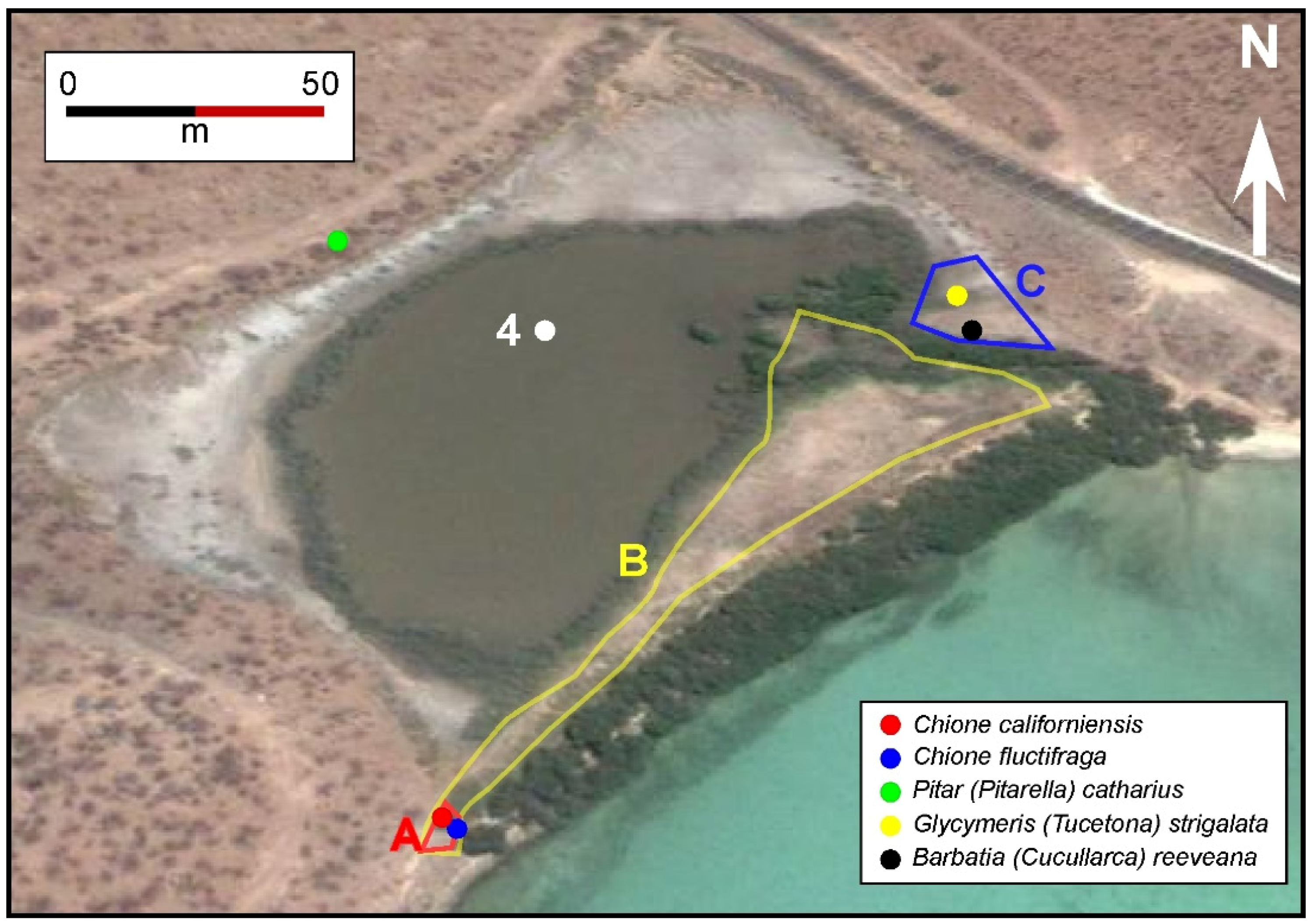 Jmse 03 01544 g003 1024