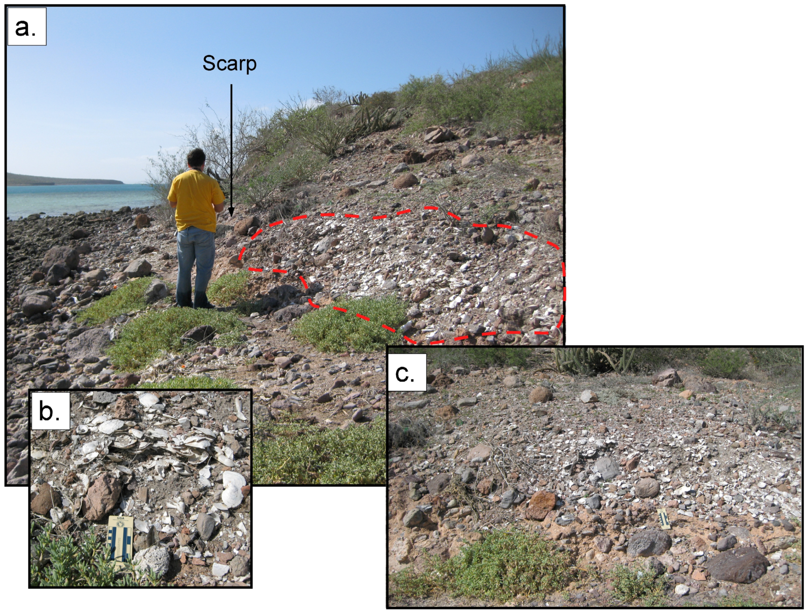 Jmse 03 01544 g004 1024