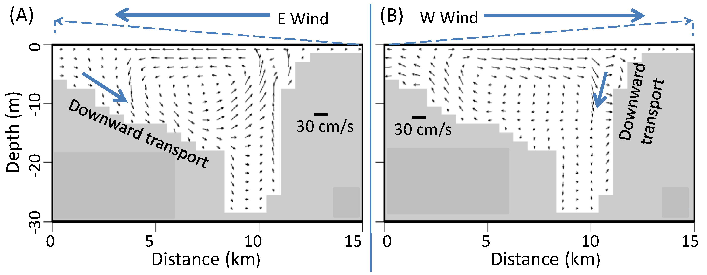 Wind strength Wind strength