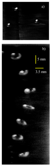 Physics - Record Lifetime for a Bubble