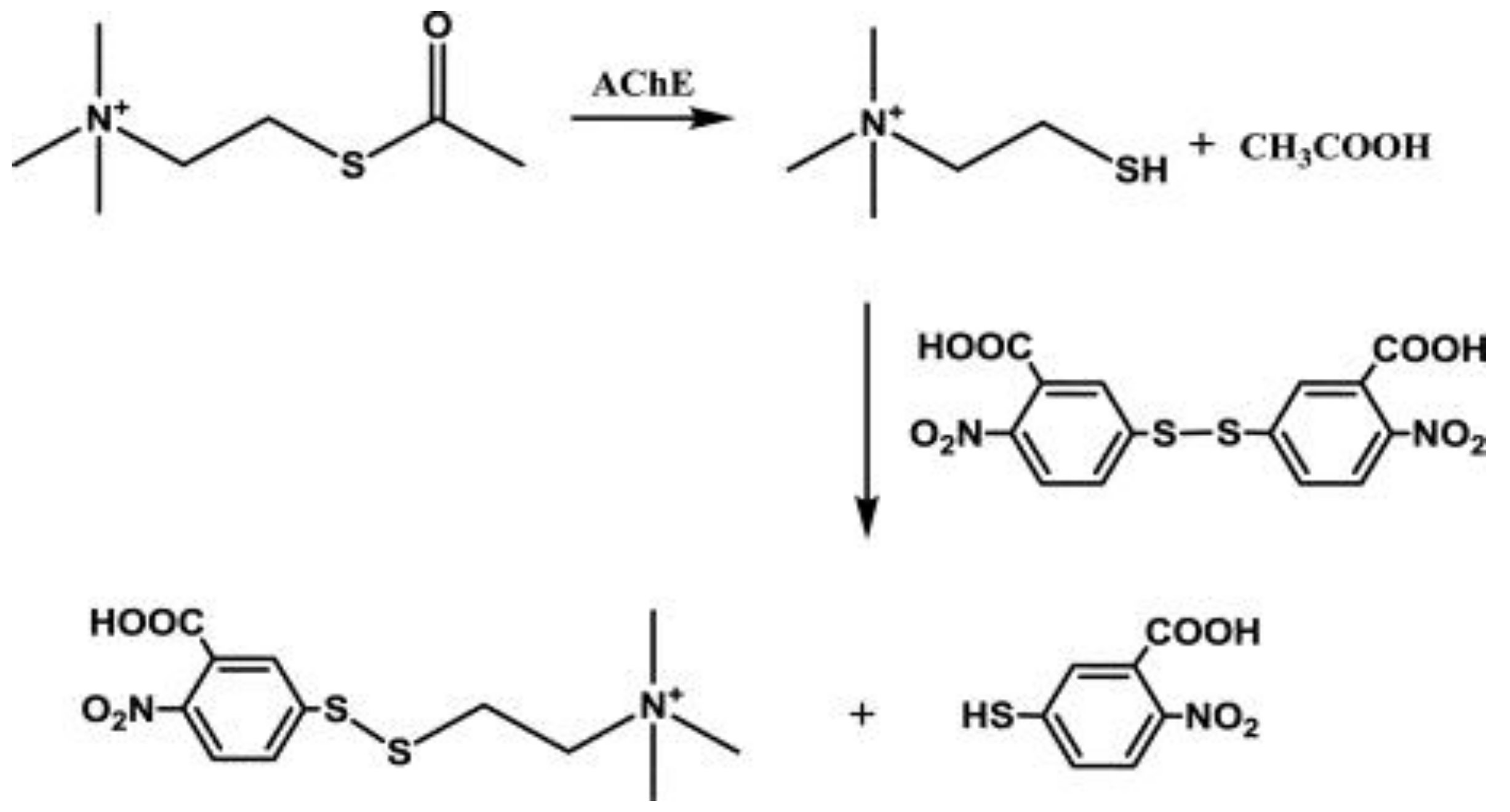 Jmse 06 00033 g001 Jmse 06 00033 g001