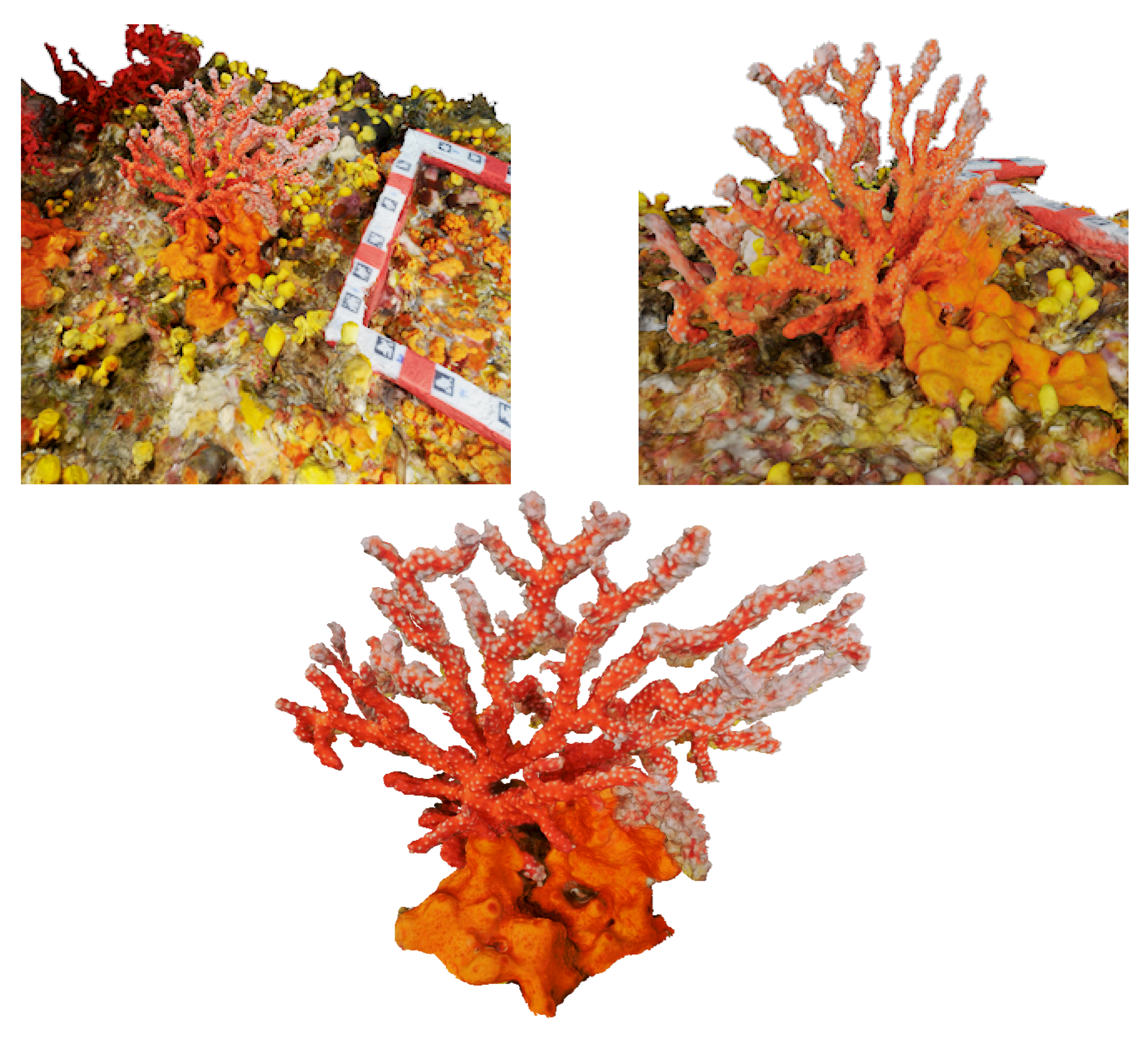 Jmse 06 00042 g011