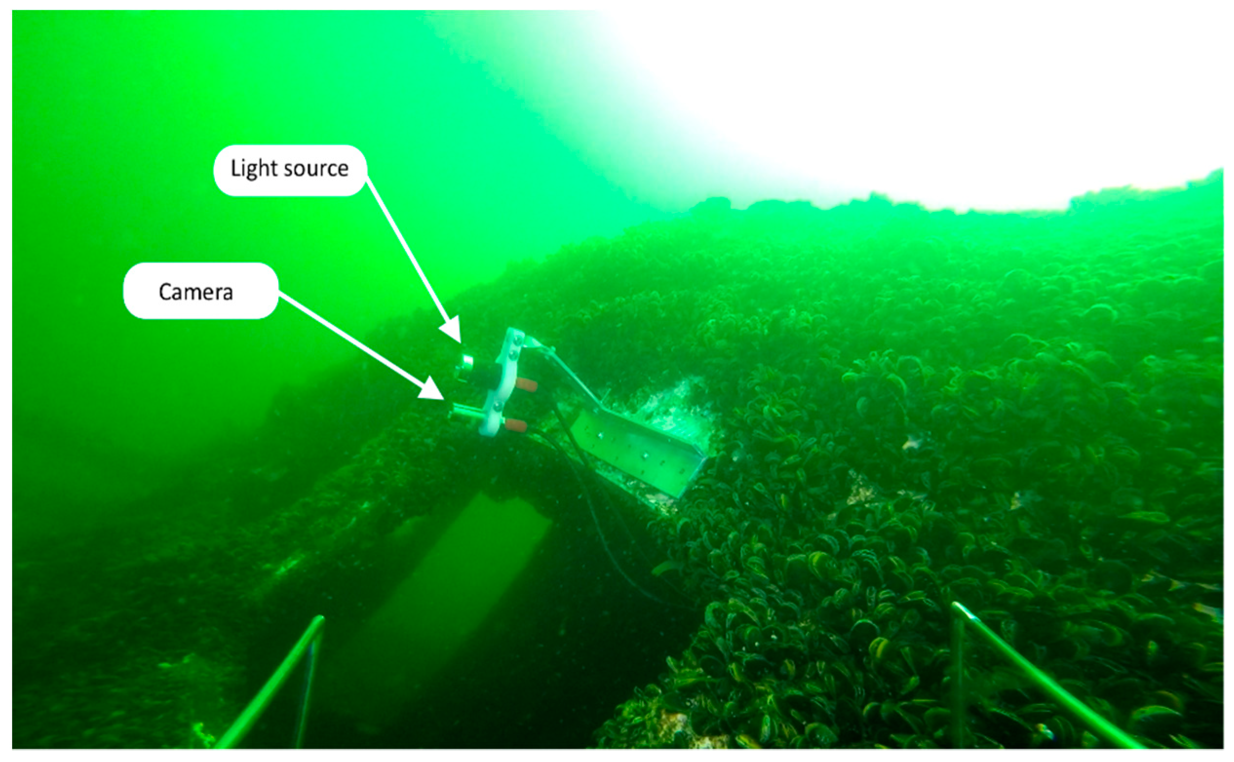 Jmse 06 00047 g005 550