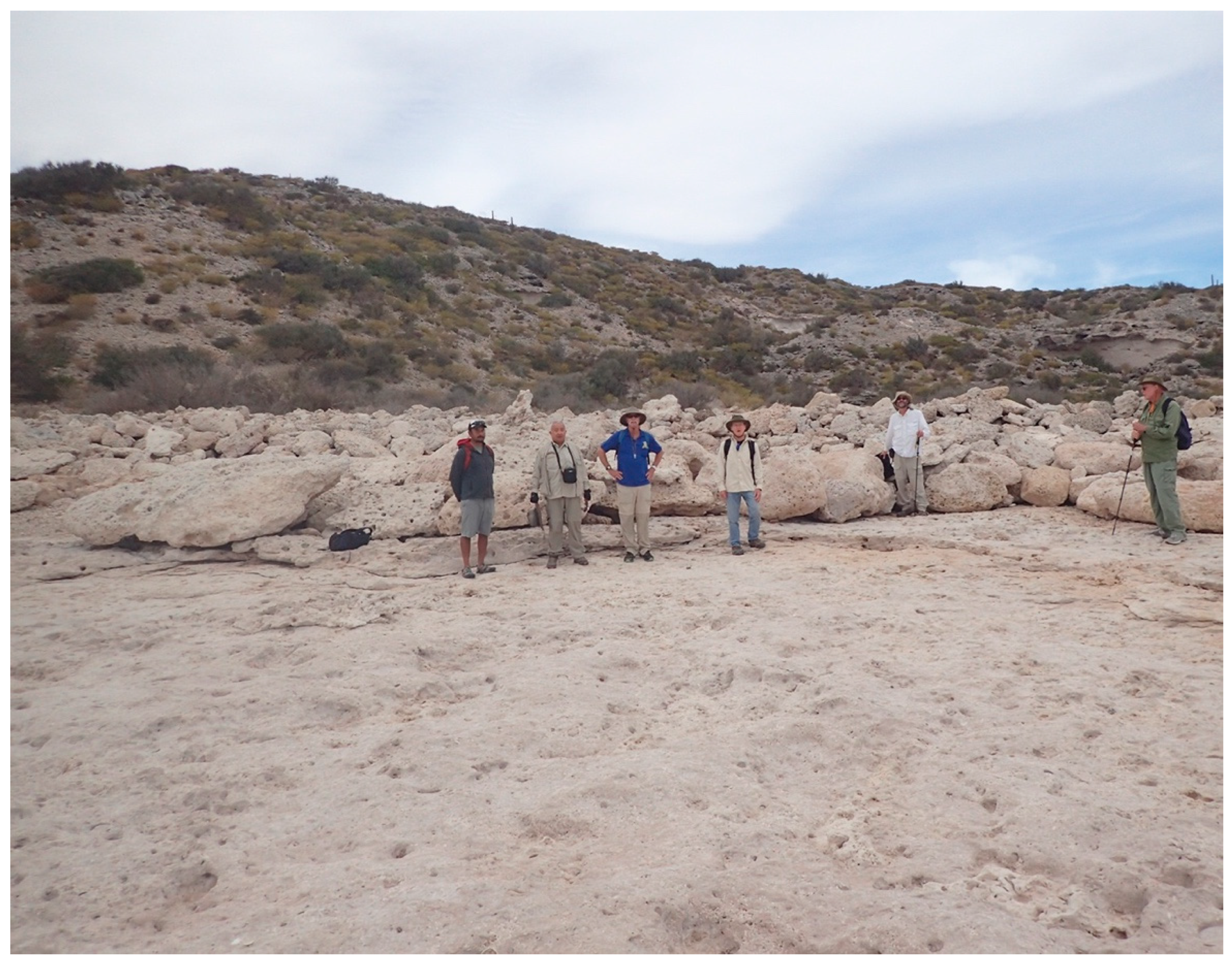 Jmse 06 00108 g005 550