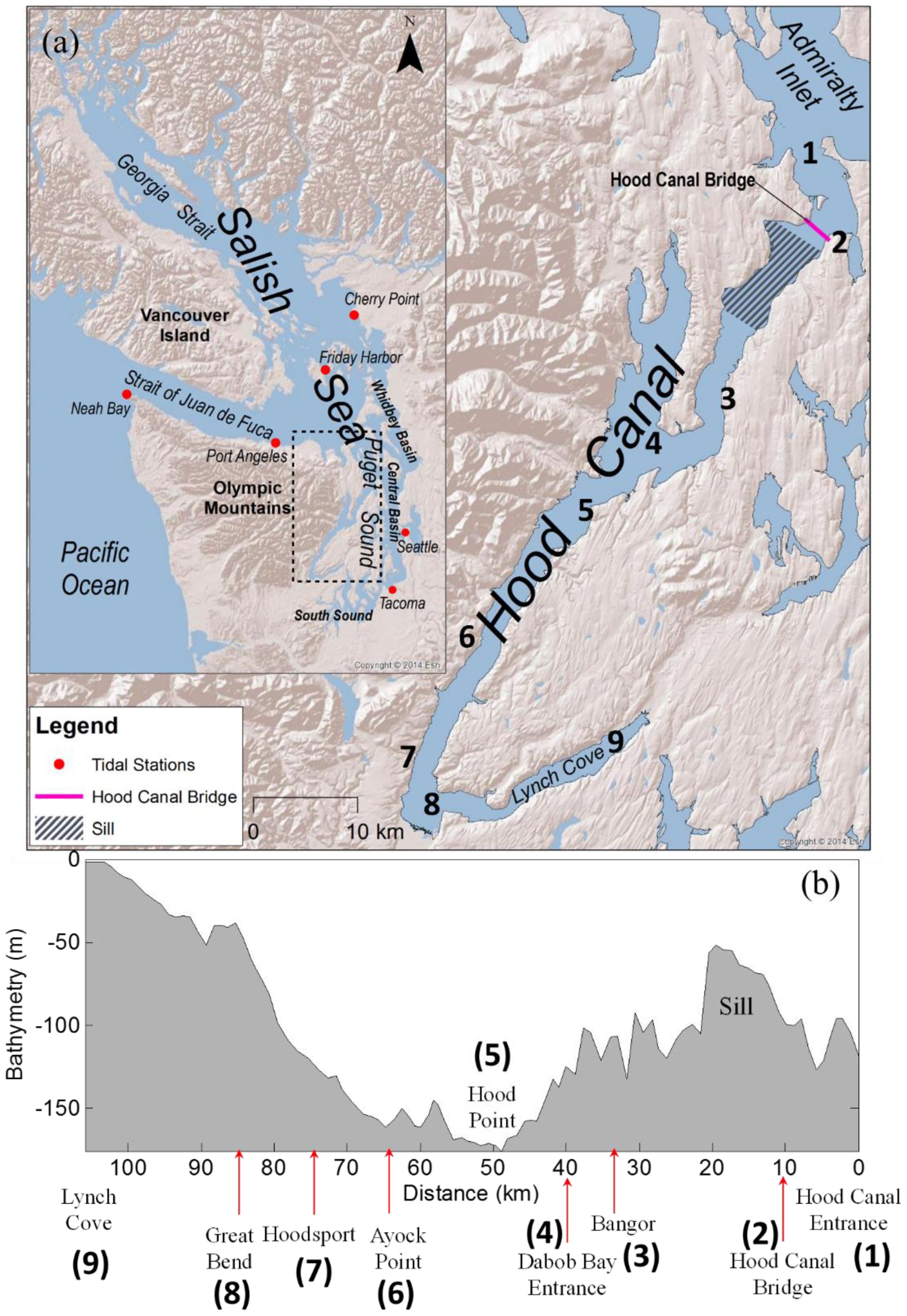 Jmse Free Full Text Hydrodynamic Zone Of Influence Due To A Floating Structure In A Fjordal Estuary Hood Canal Bridge Impact Assessment Html