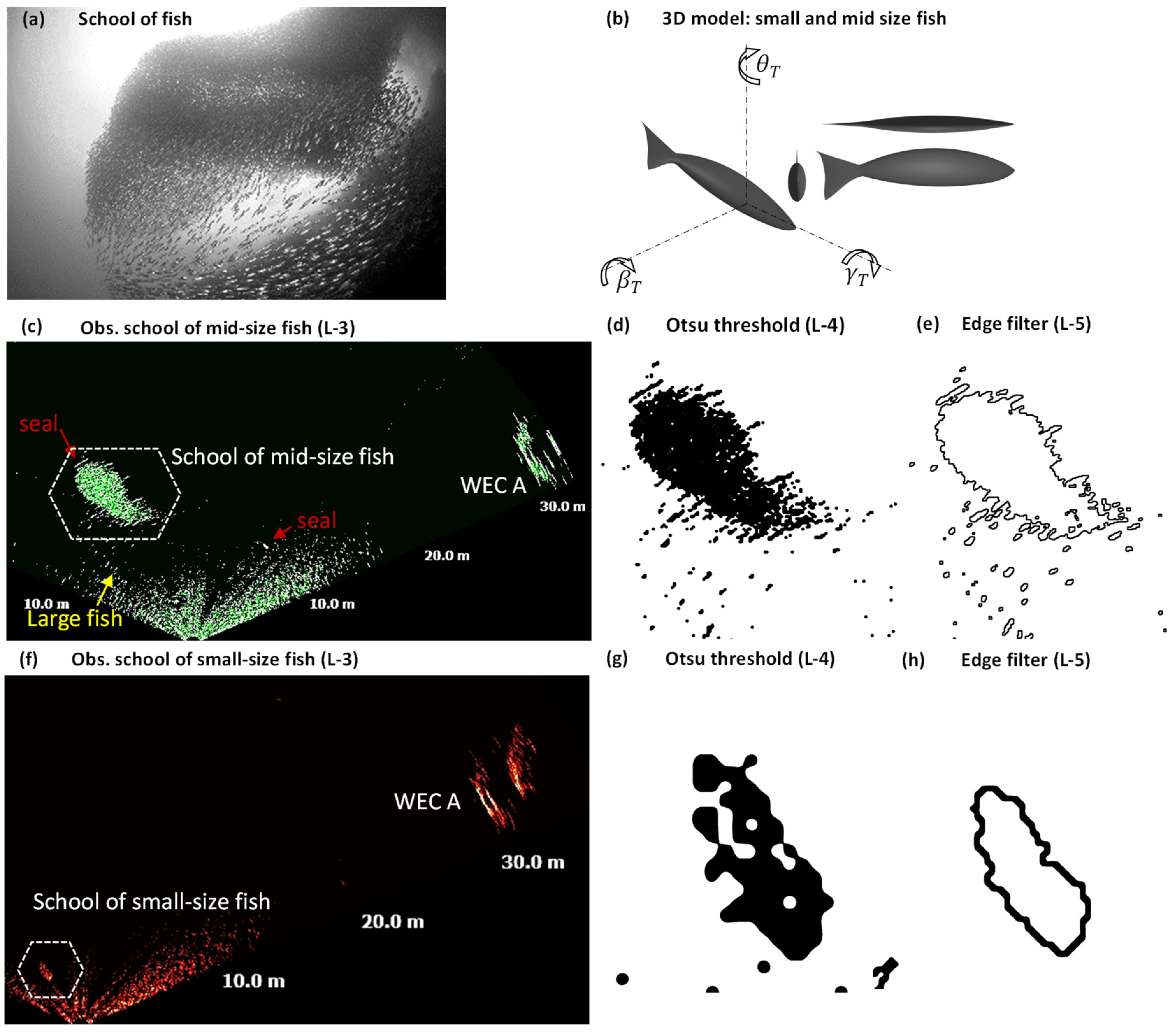 Jmse 07 00022 g004 Jmse 07 00022 g004