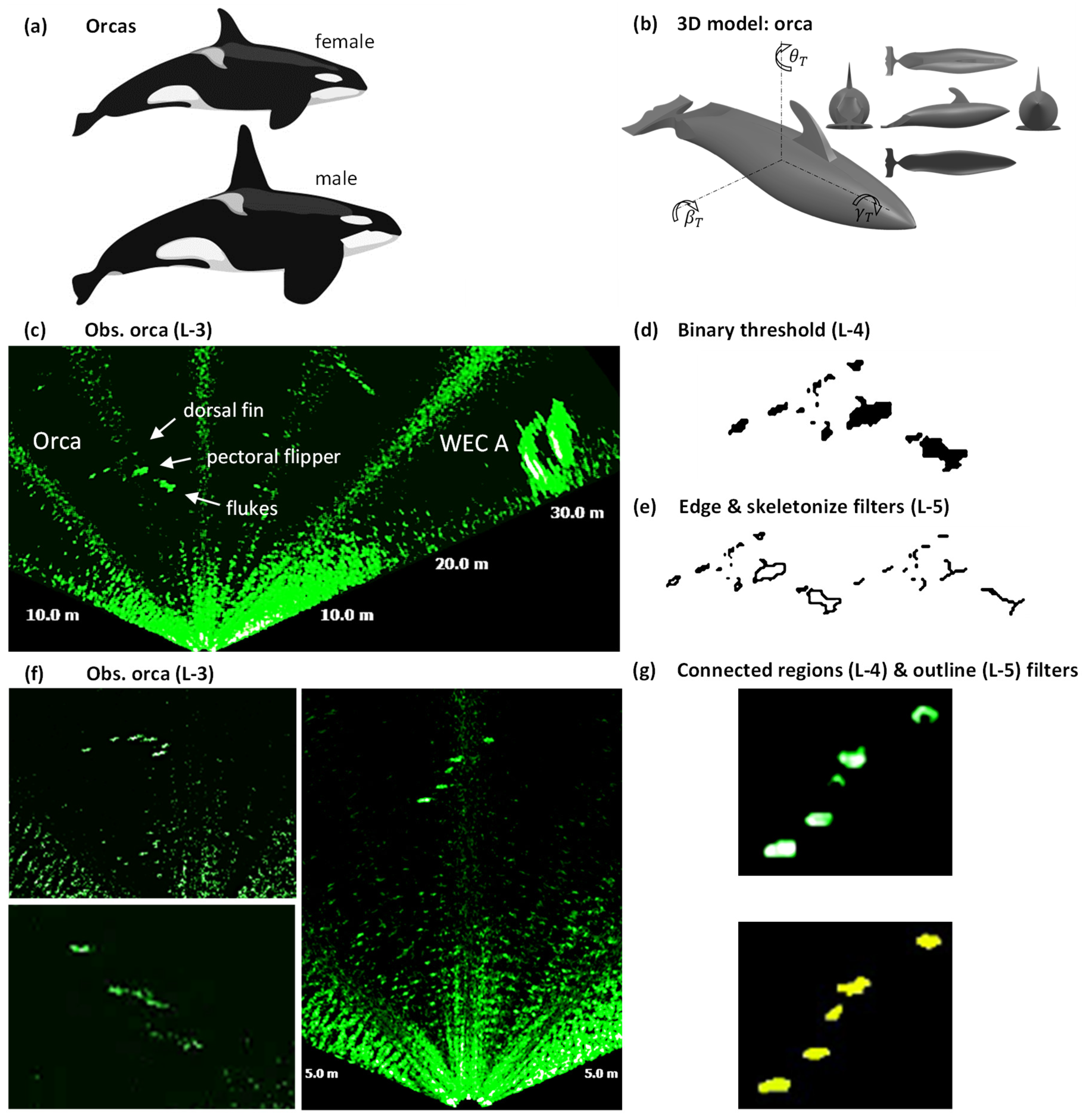 Jmse 07 00022 g008 Jmse 07 00022 g008
