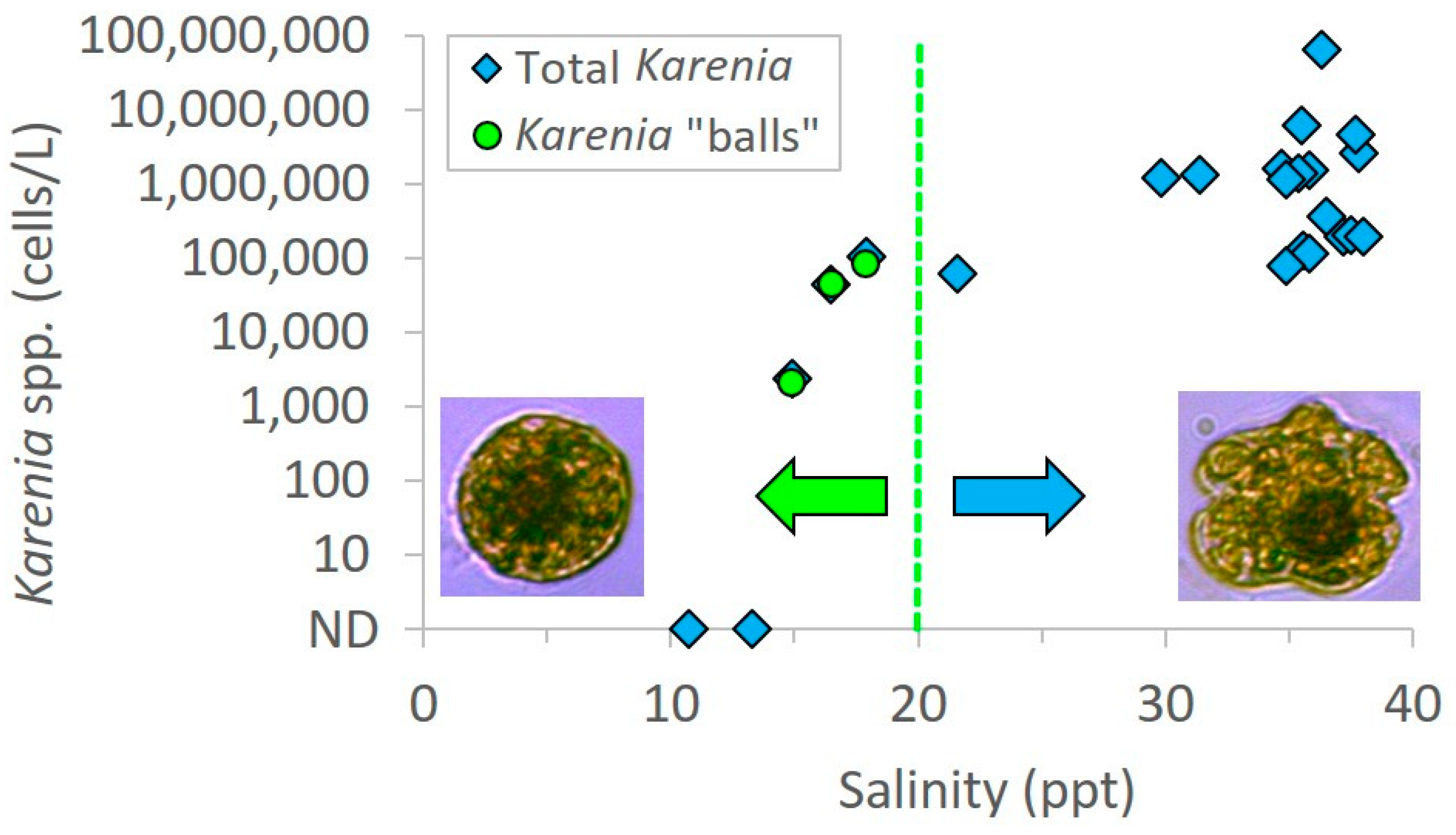 Jmse 07 00024 g004 550