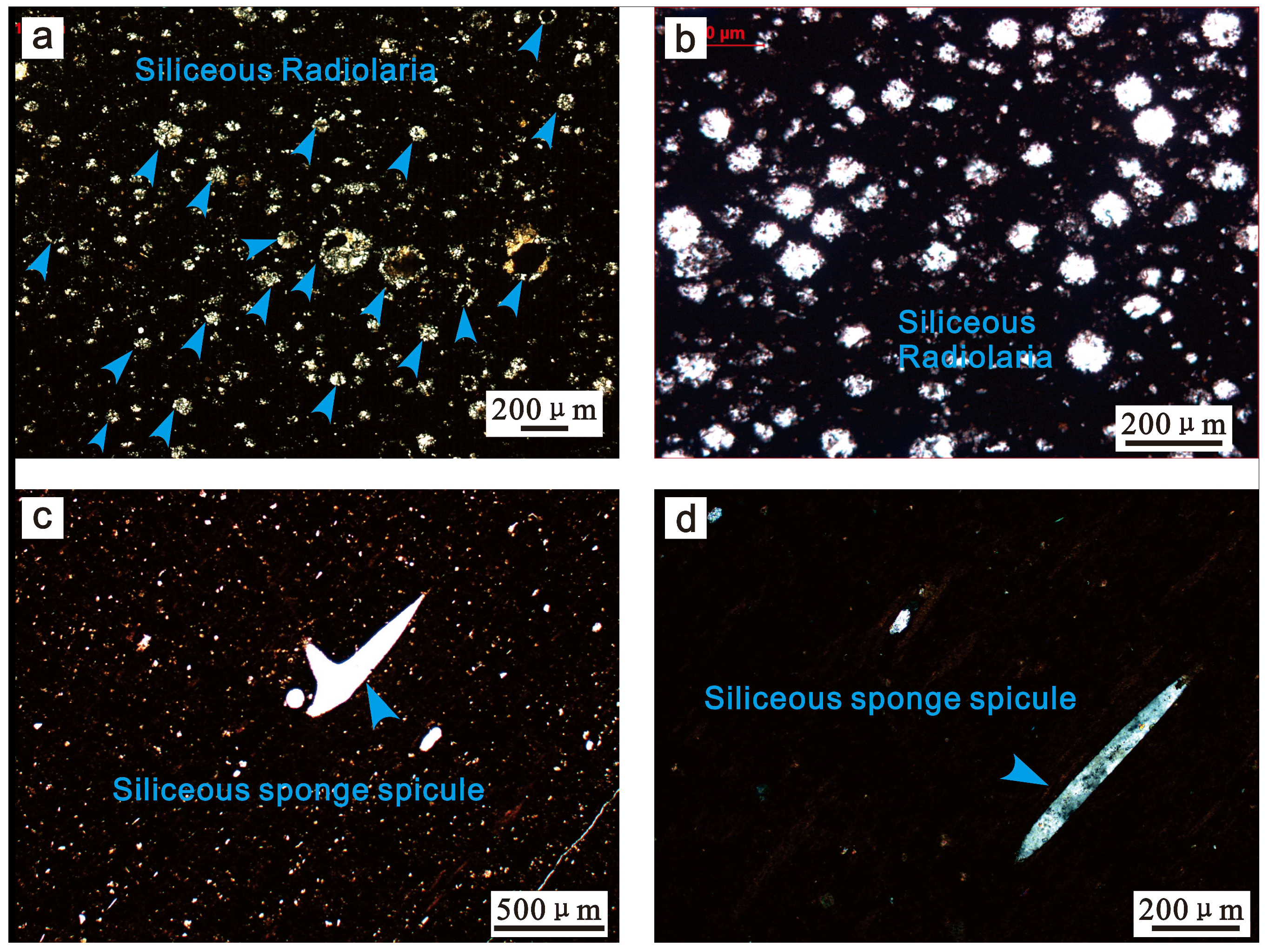 Jmse 07 00099 g005