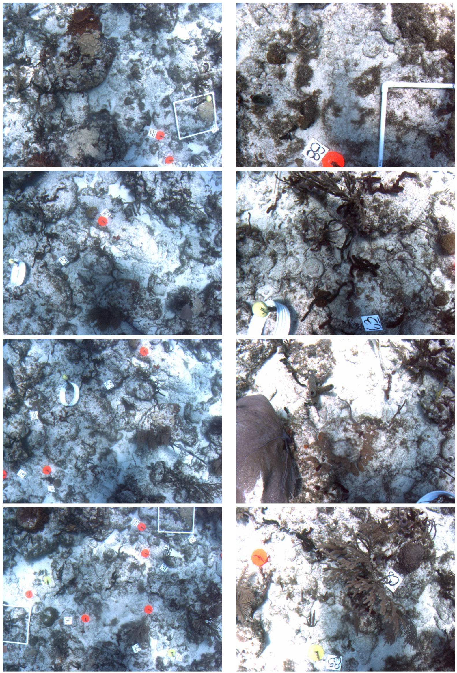 Jmse 07 00178 g005 Jmse 07 00178 g005