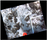 Jmse 07 00178 i001 Jmse 07 00178 i001