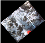 Jmse 07 00178 i002 Jmse 07 00178 i002