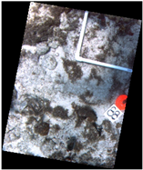 Jmse 07 00178 i003 Jmse 07 00178 i003